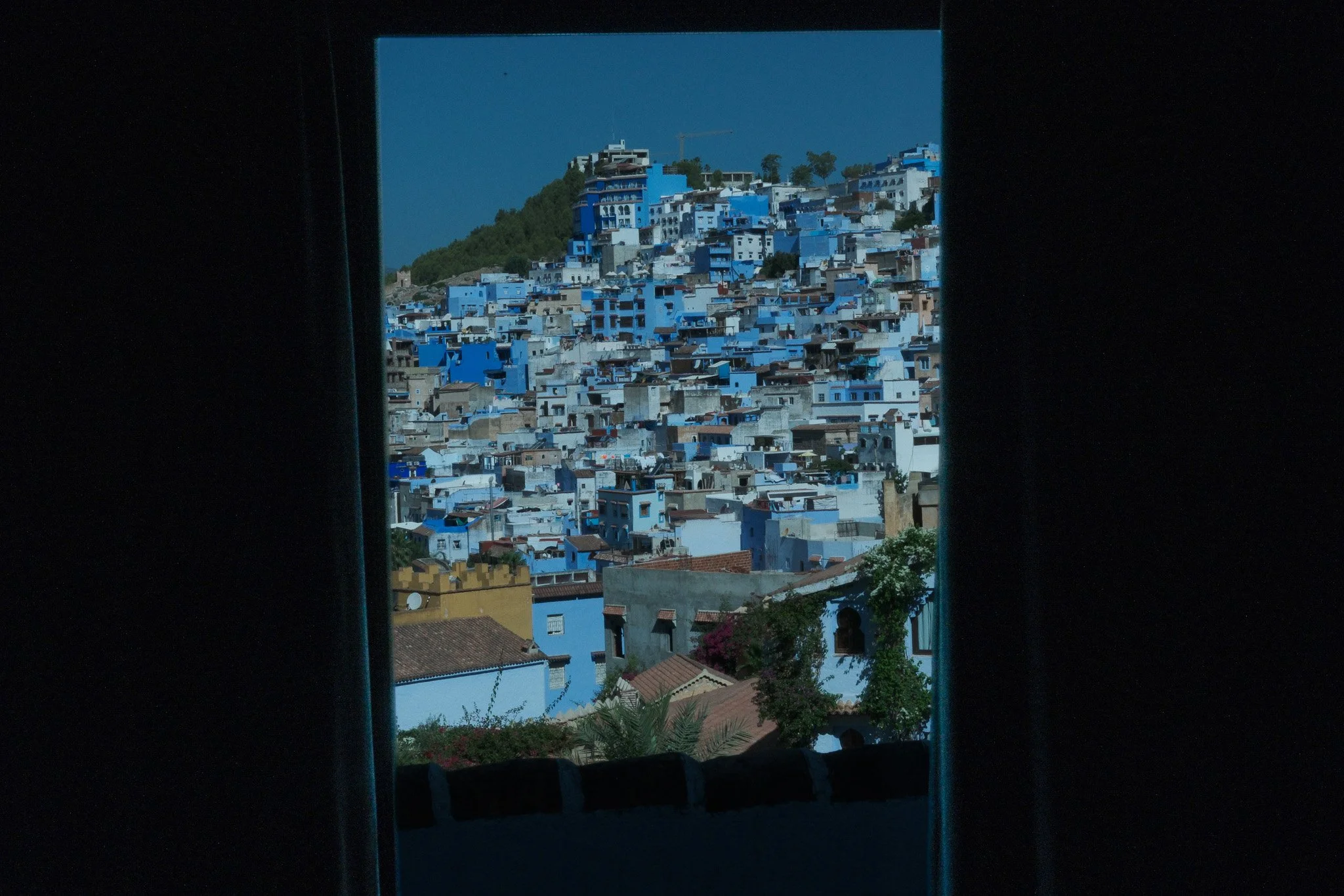 DSCF5247-2.jpg
