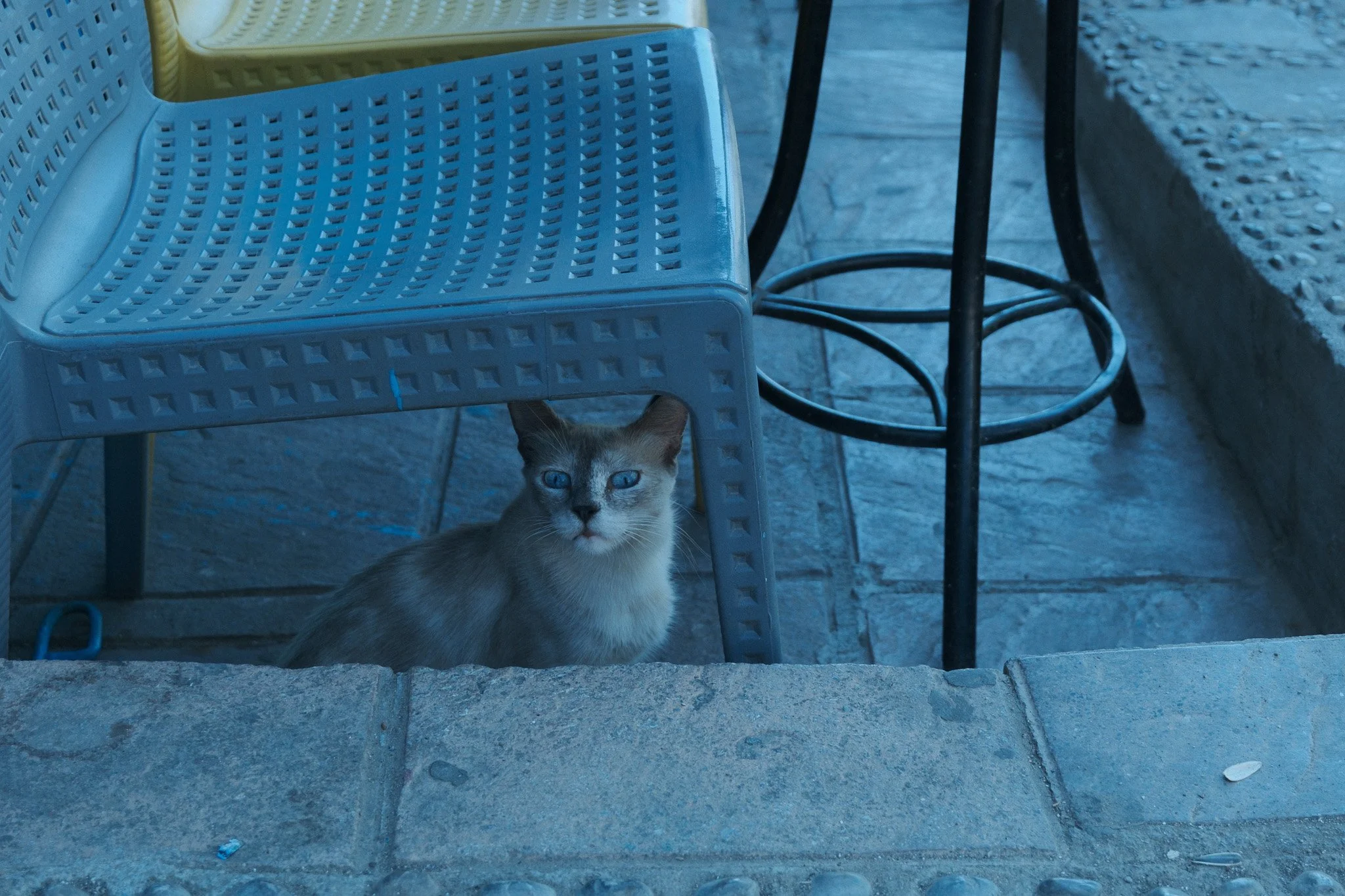 DSCF5280.jpg