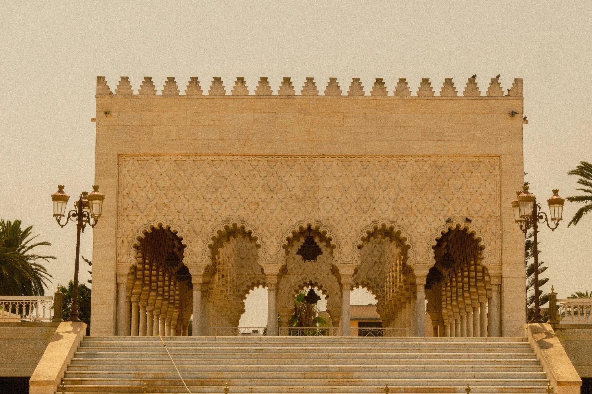 DSCF5142.jpg
