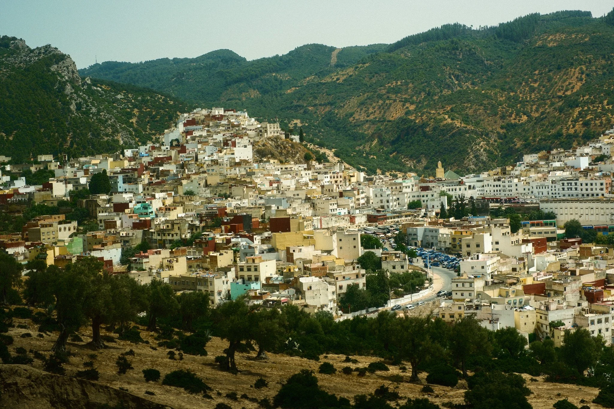 DSCF5660.jpg