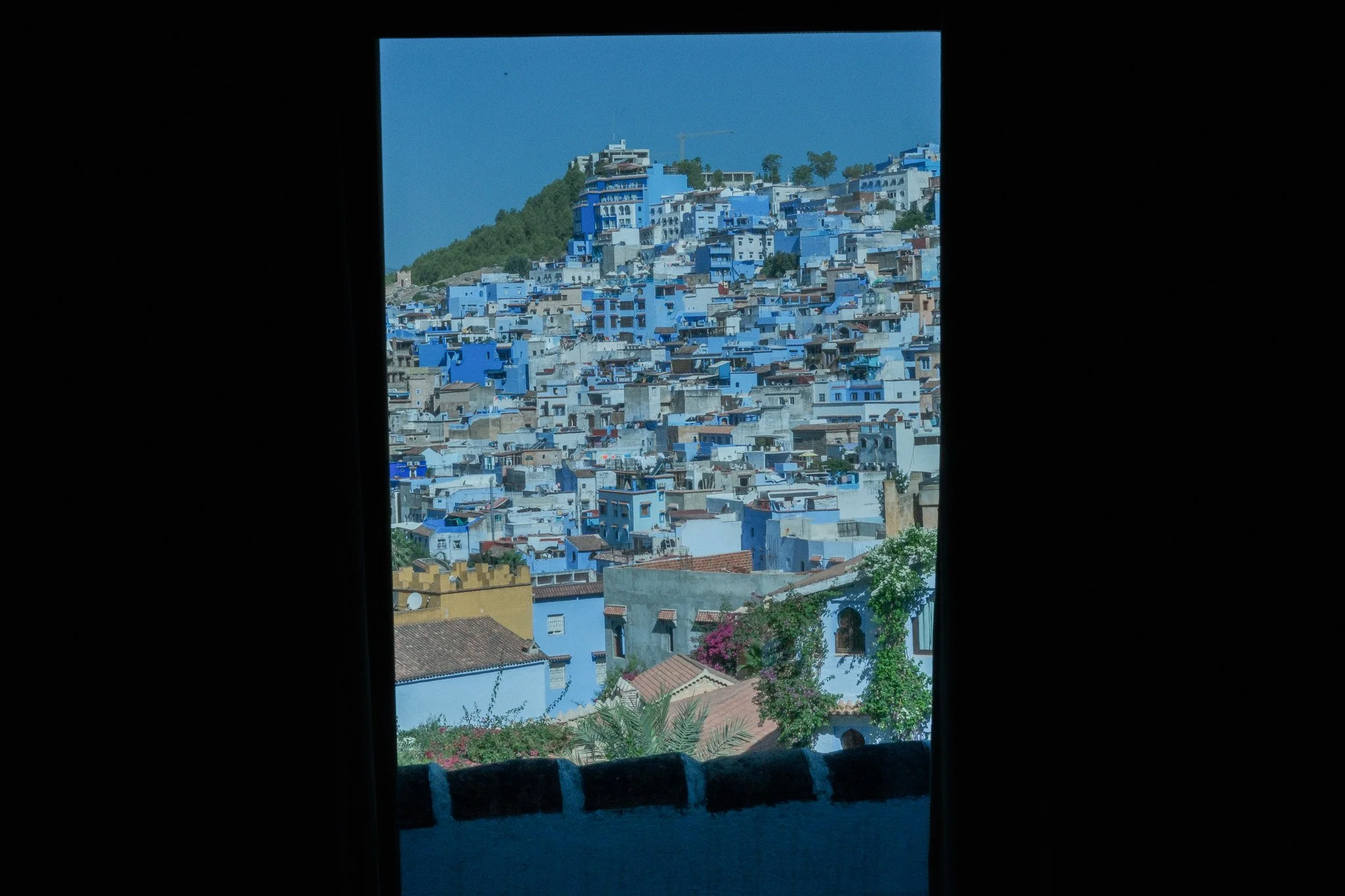DSCF5247.jpg