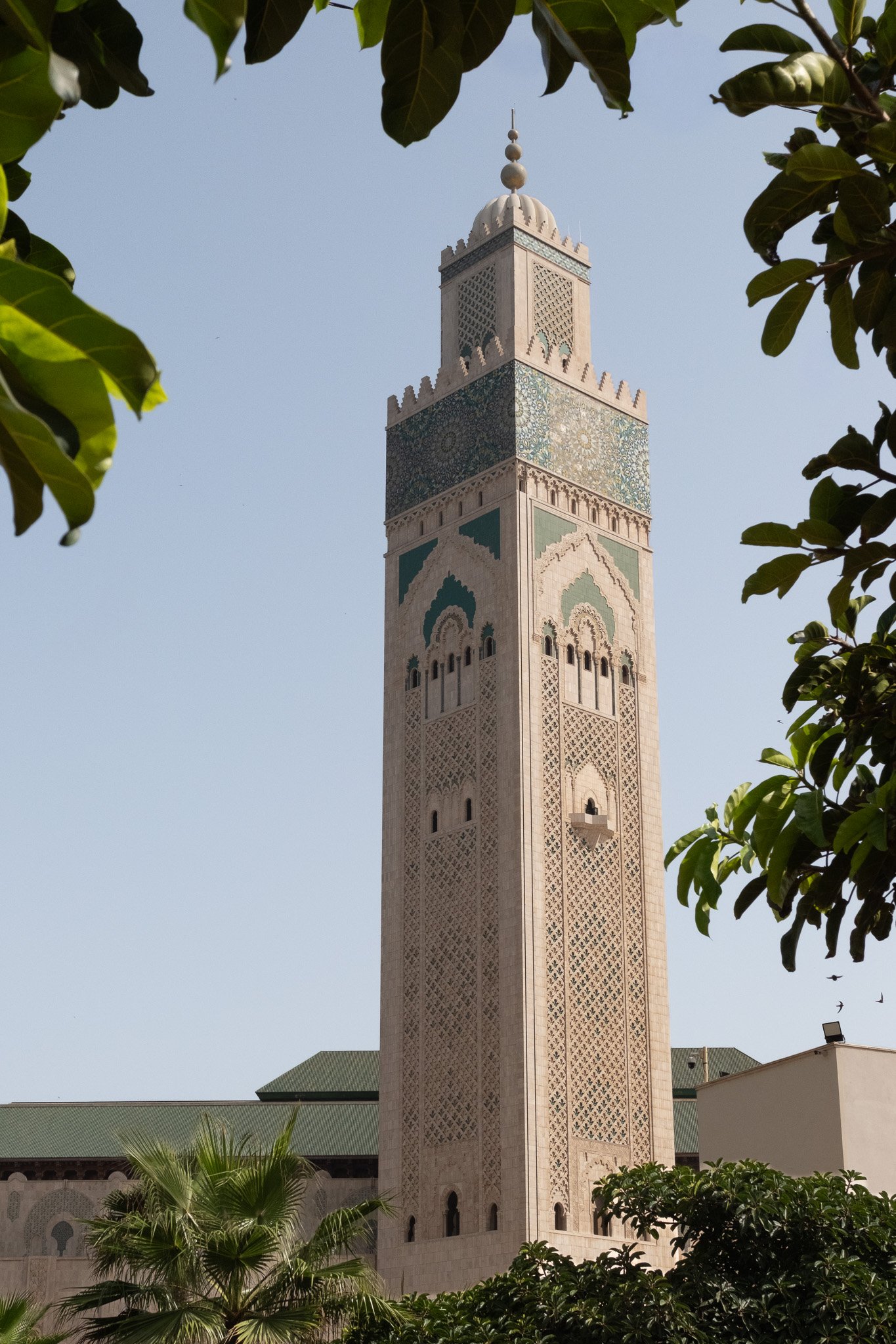 DSCF5130-2.jpg