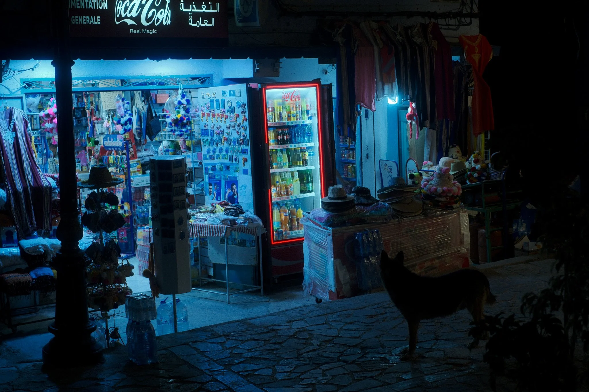 DSCF5240.jpg