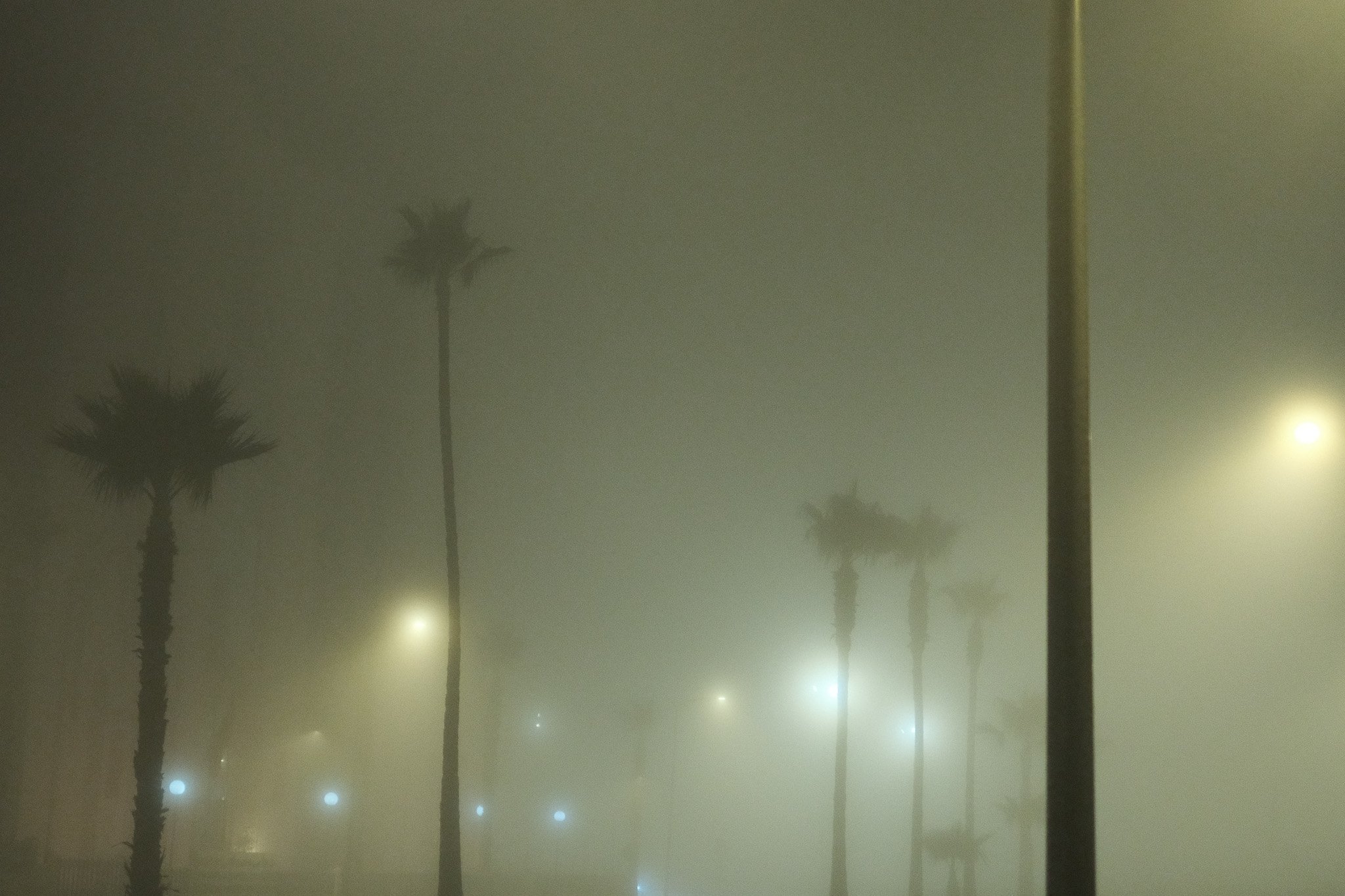 DSCF5102.jpg