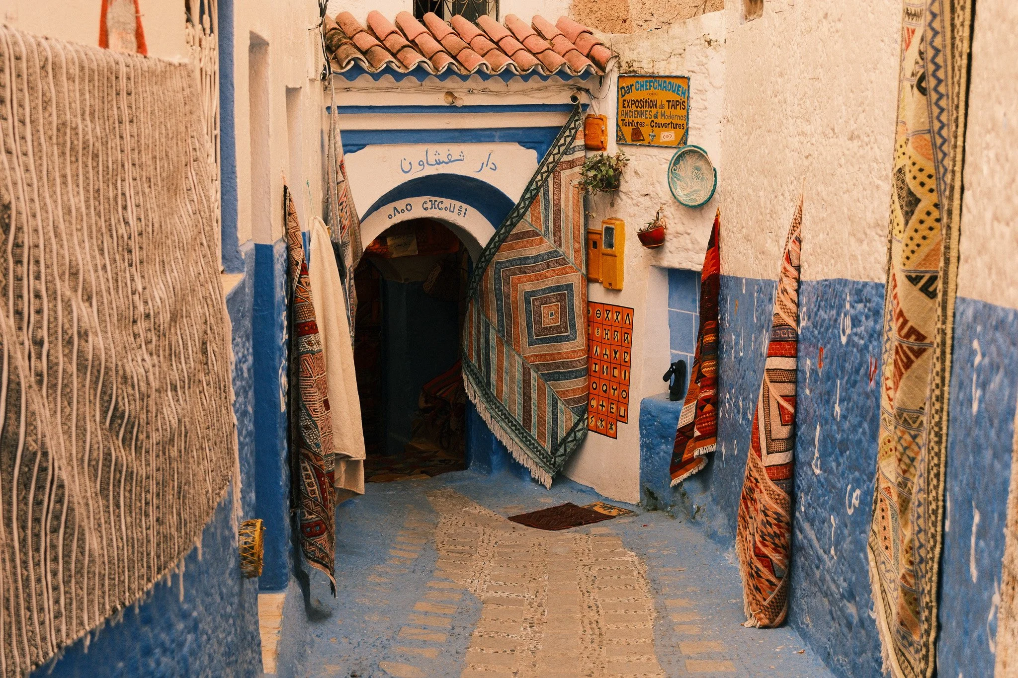 DSCF5556.jpg