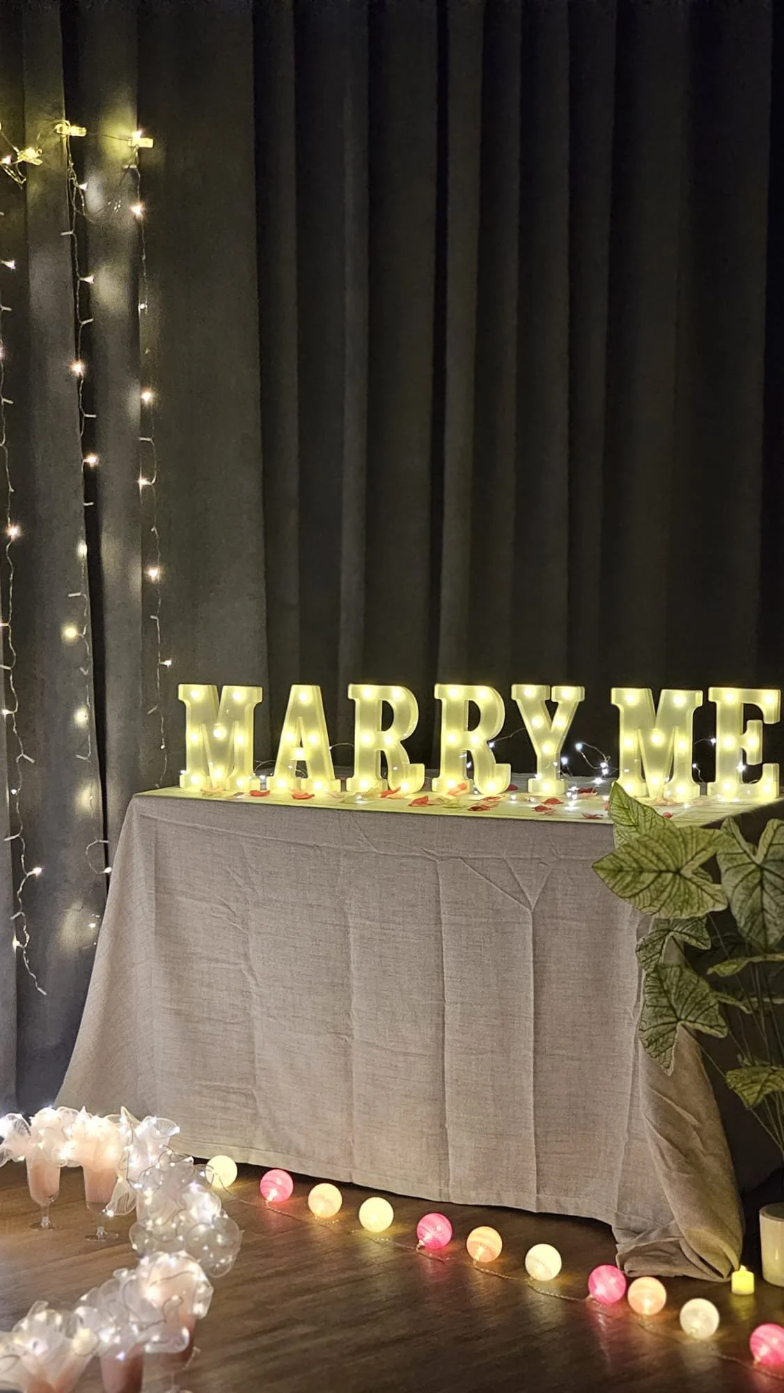 WhatsApp Image 2026-03-20 at 12.51.28 PM.jpeg