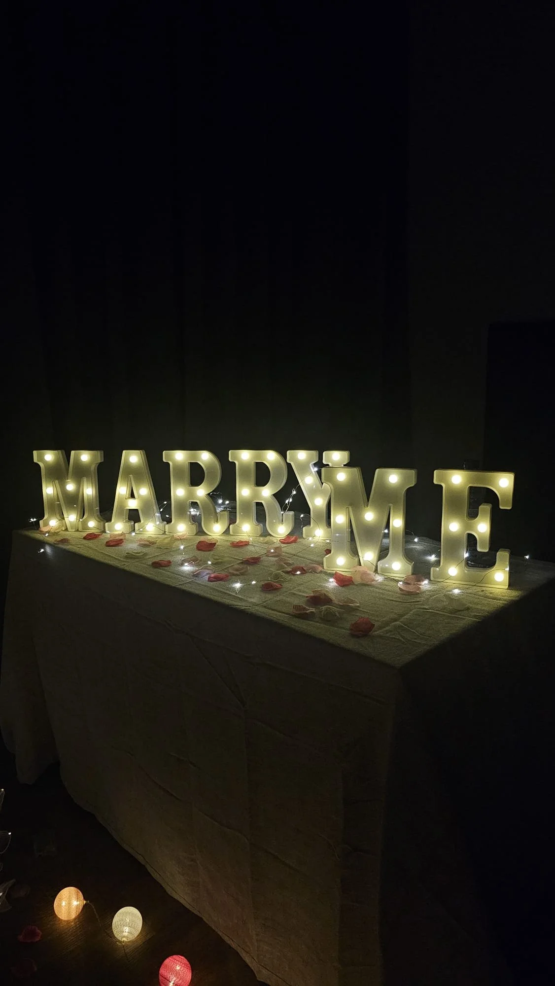 WhatsApp Image 2026-03-20 at 12.52.05 PM.jpeg