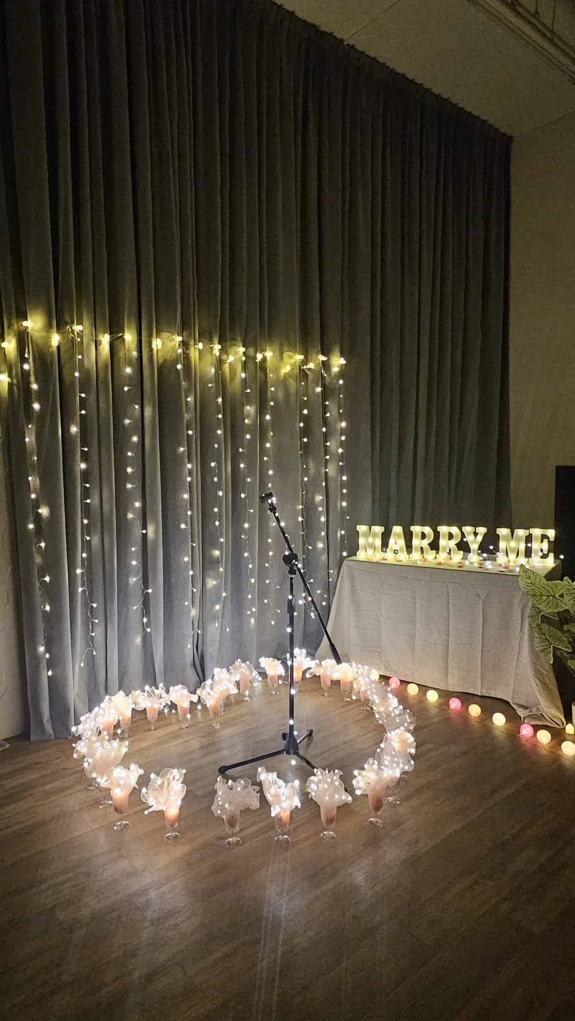 WhatsApp Image 2026-03-20 at 12.51.33 PM.jpeg