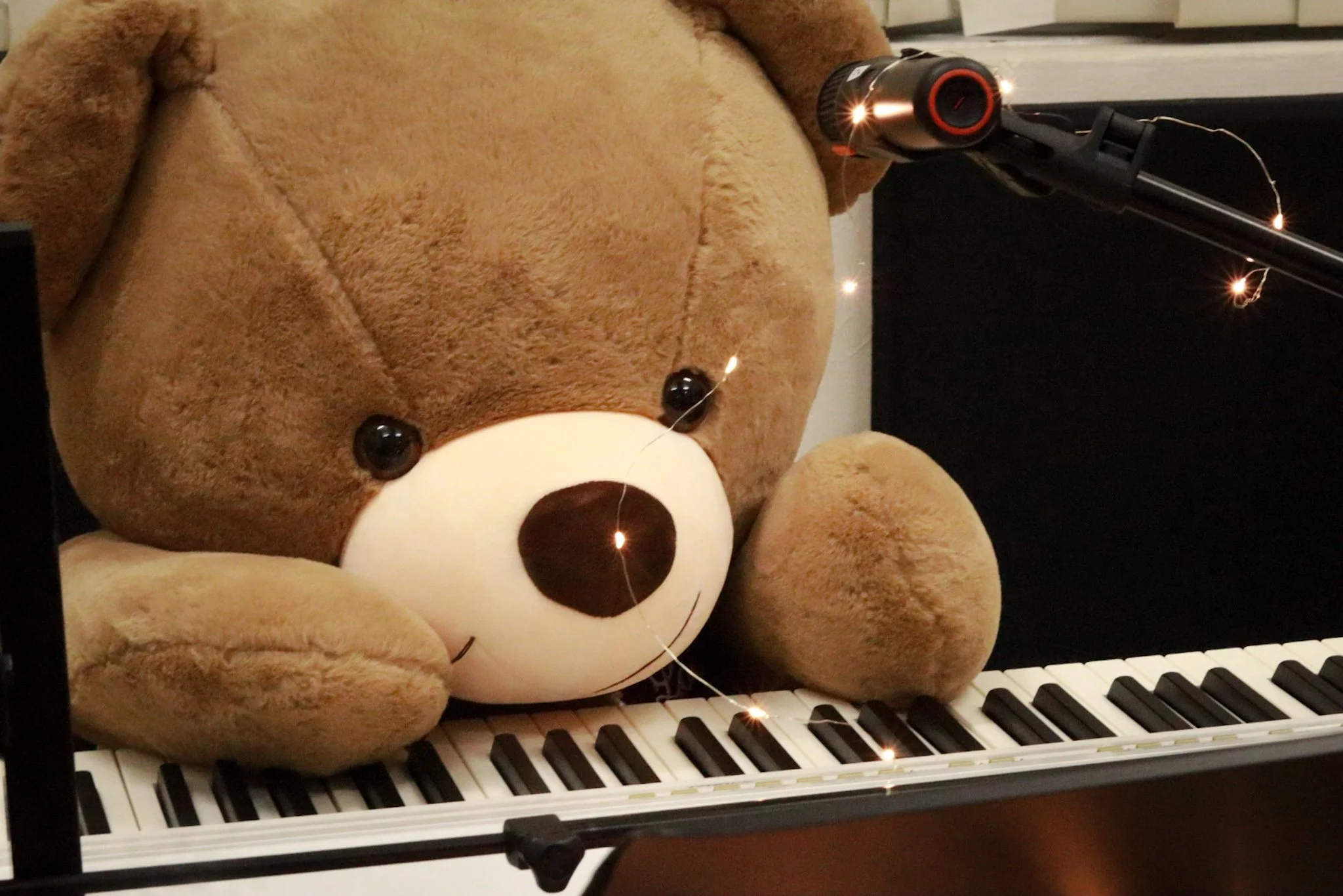 digital piano (weighted 88 keys)