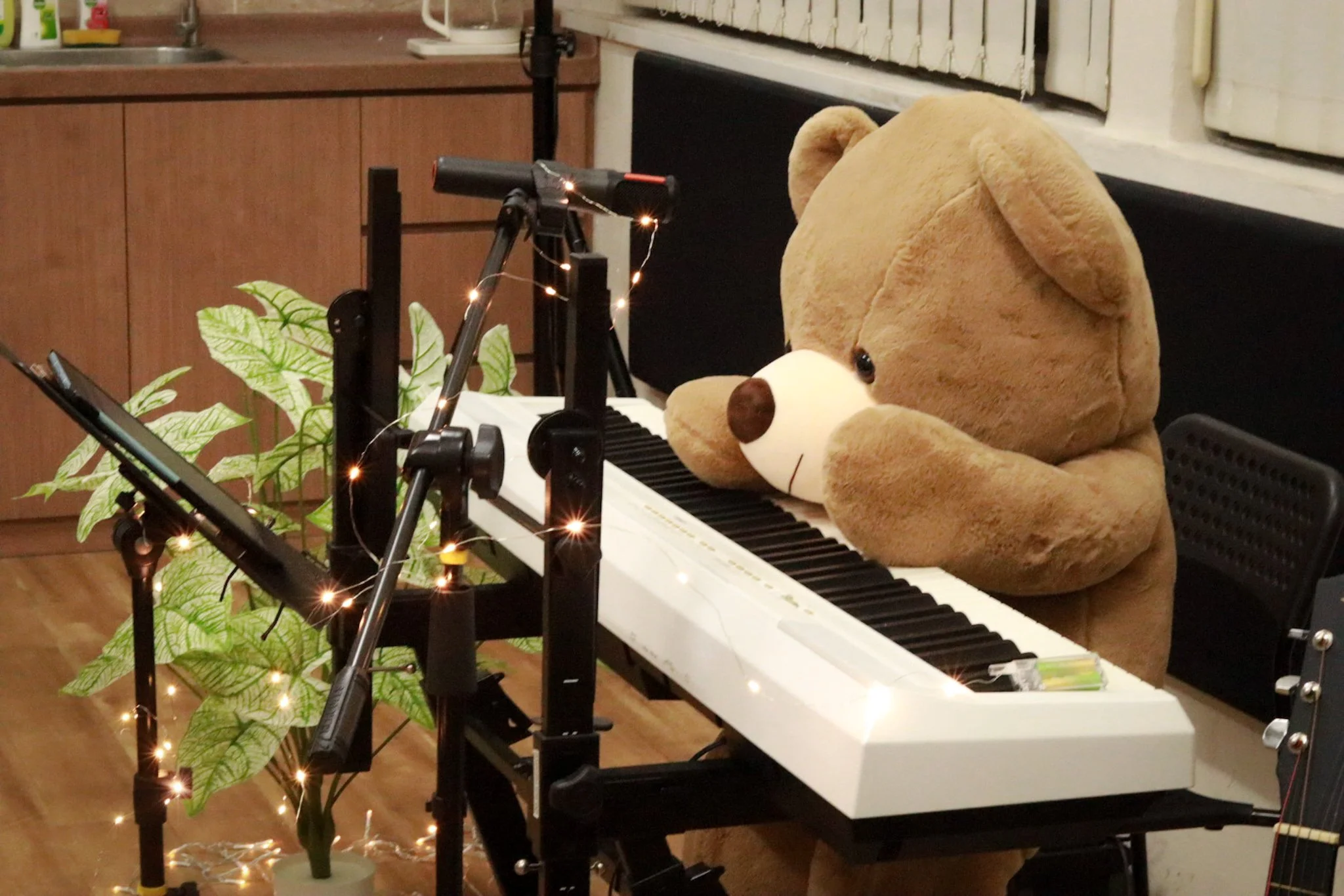 digital piano (weighted 88 keys)