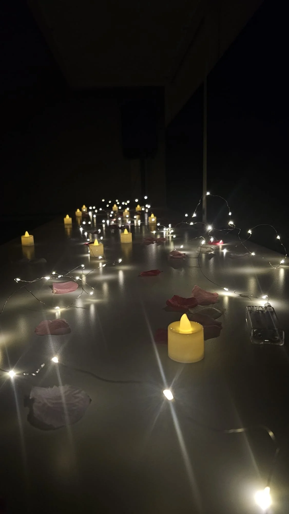 WhatsApp Image 2026-03-20 at 12.52.00 PM (1).jpeg