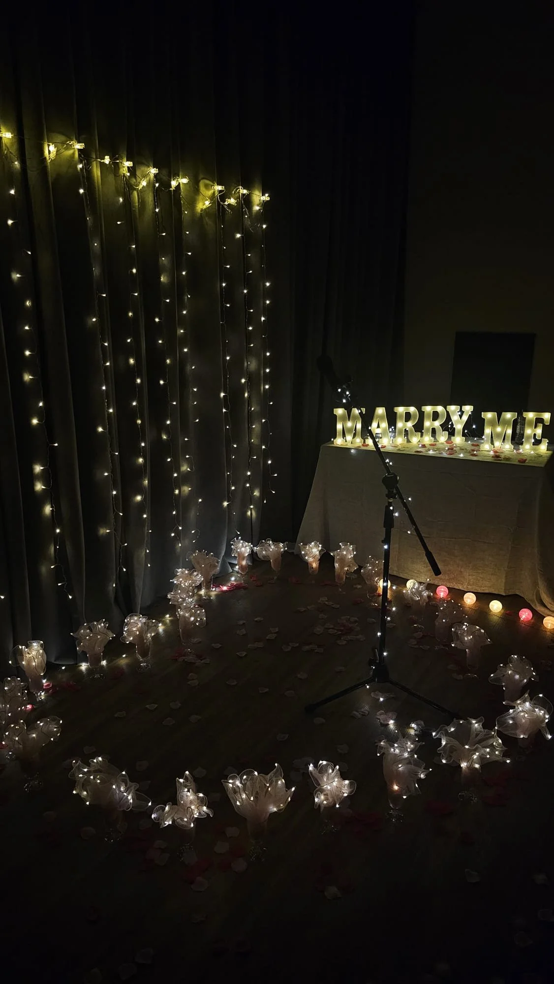 WhatsApp Image 2026-03-20 at 12.52.01 PM.jpeg