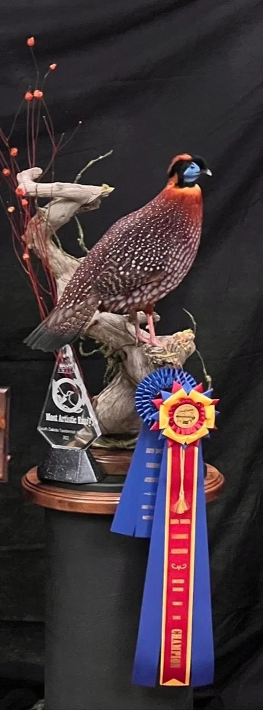 202203 SDTA Sam (3).jpg