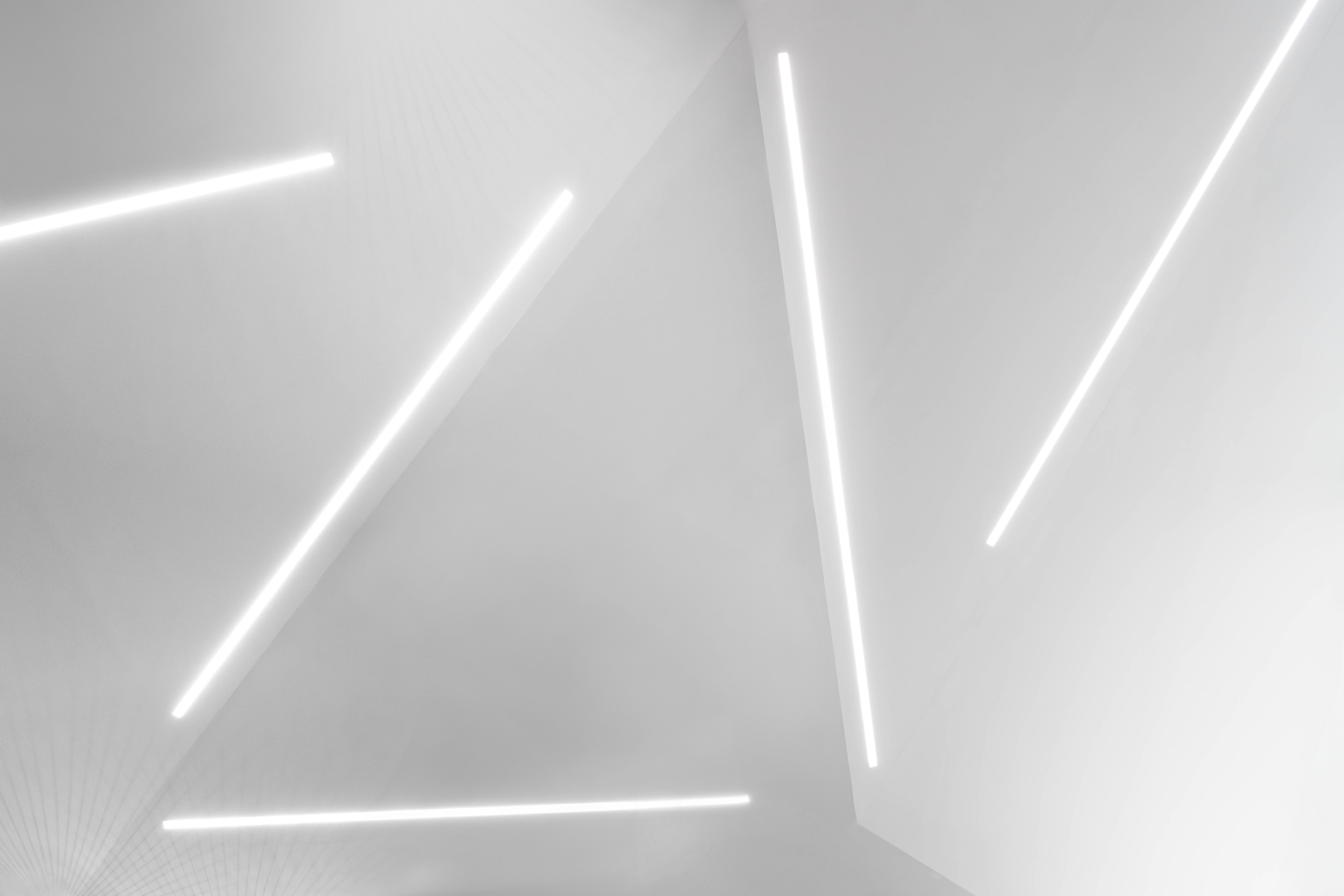 DSC02452-Enhanced-NR.png