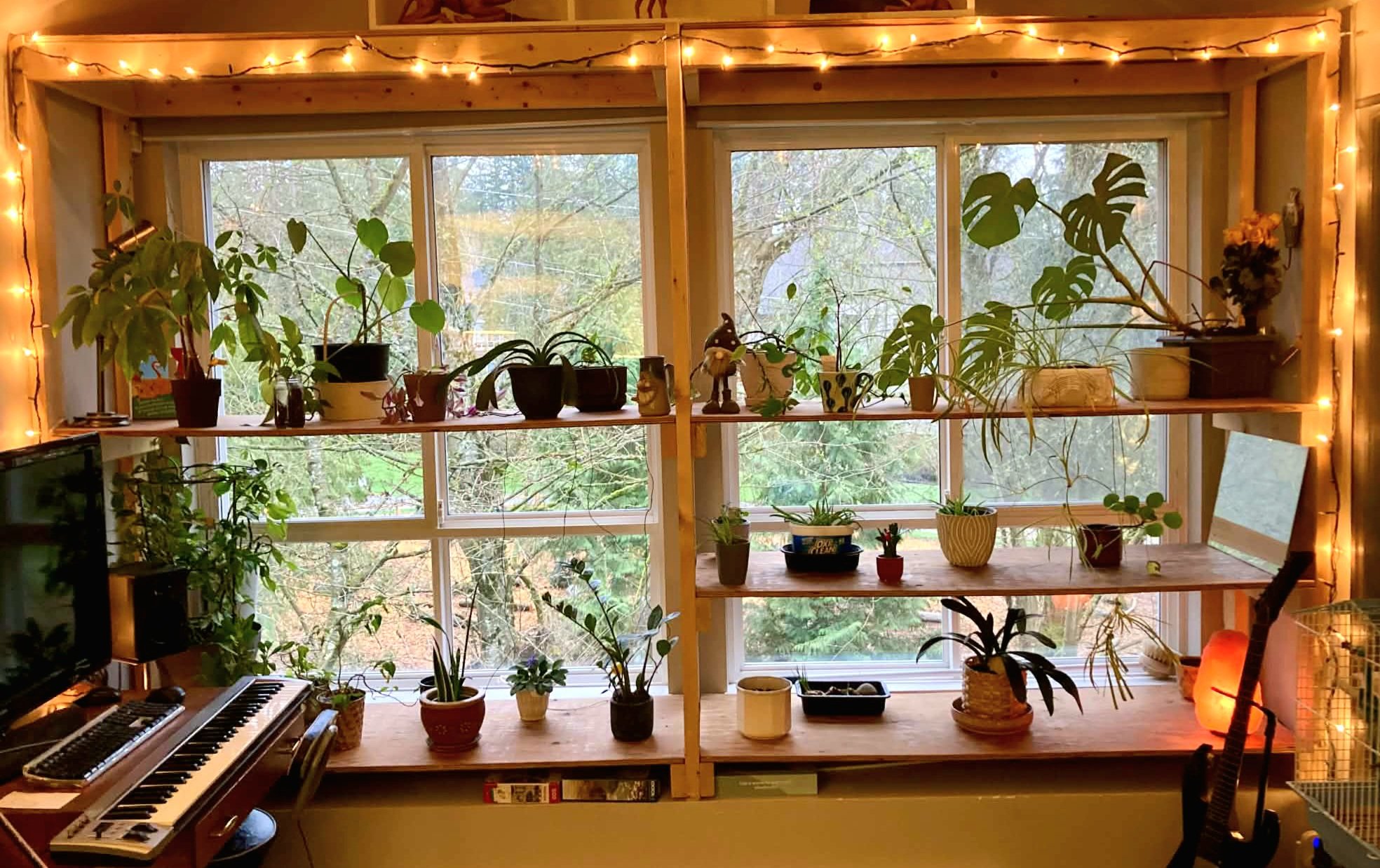 Plant Shelf.JPG