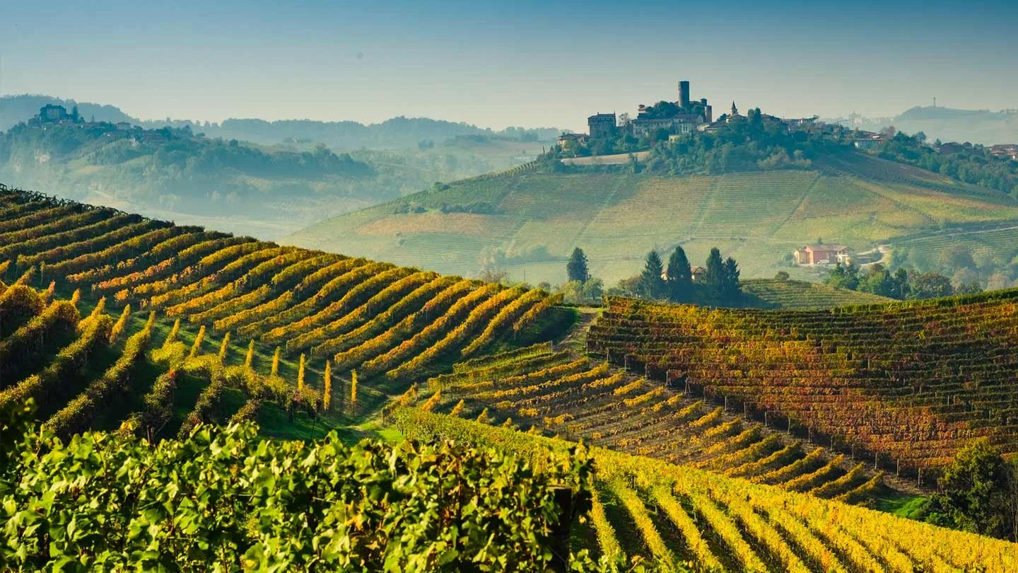 Il Chiosso Wine Dinner