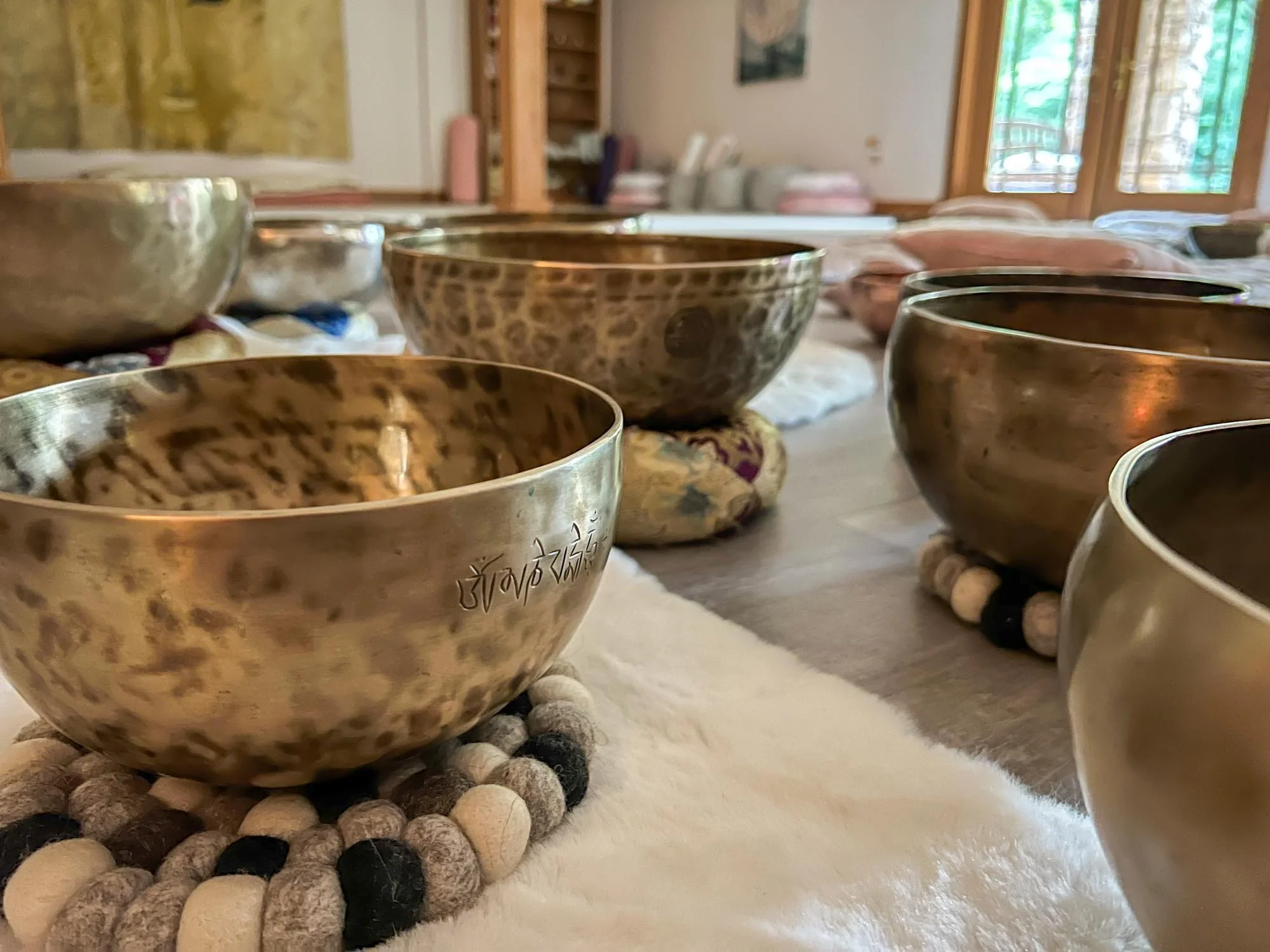 Vibrational Sound Training: Level 1