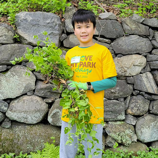  First Annual Garlic Mustard Removal Extravaganza 