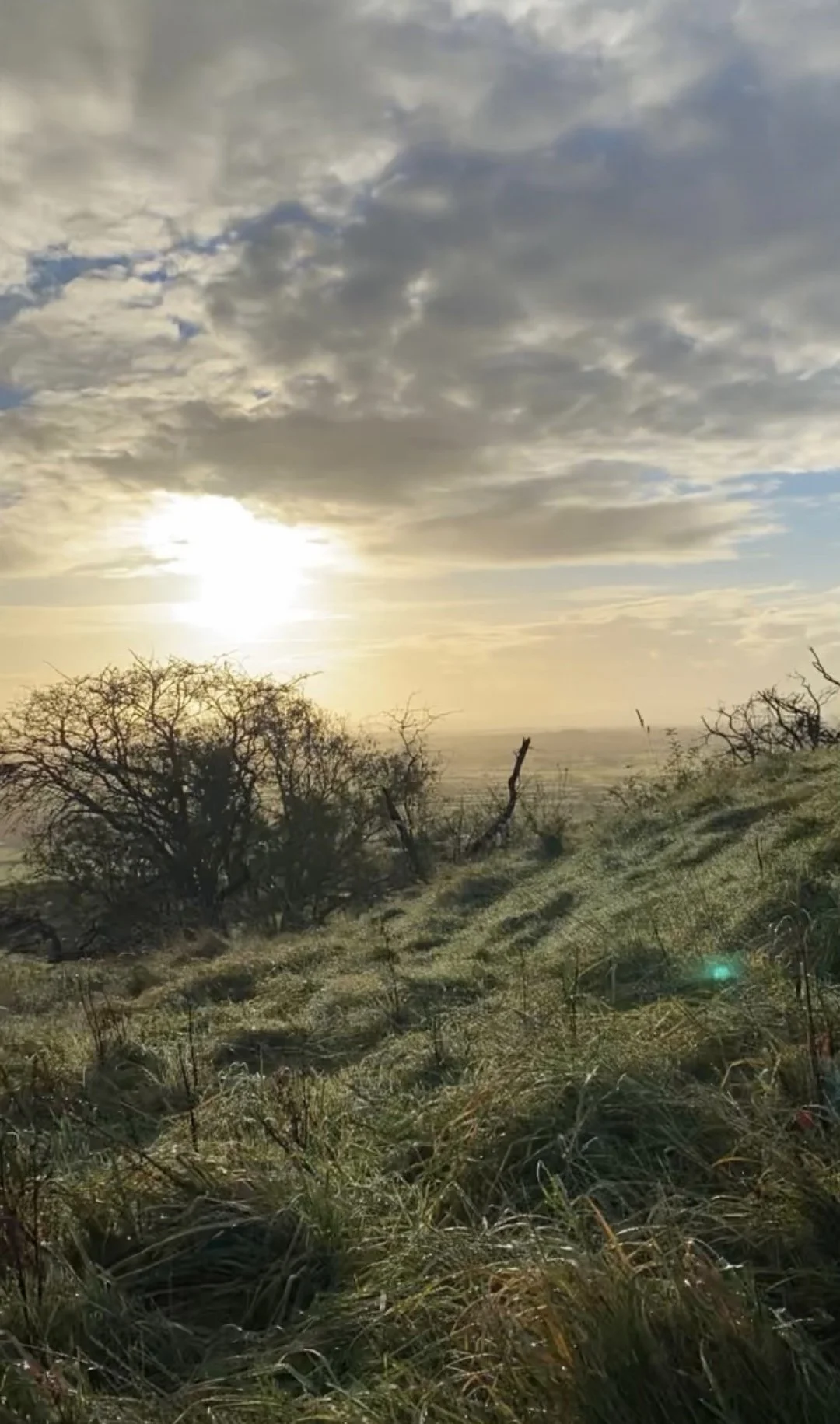 Usui Reiki Healing: A Path of Universal Life Force Energy