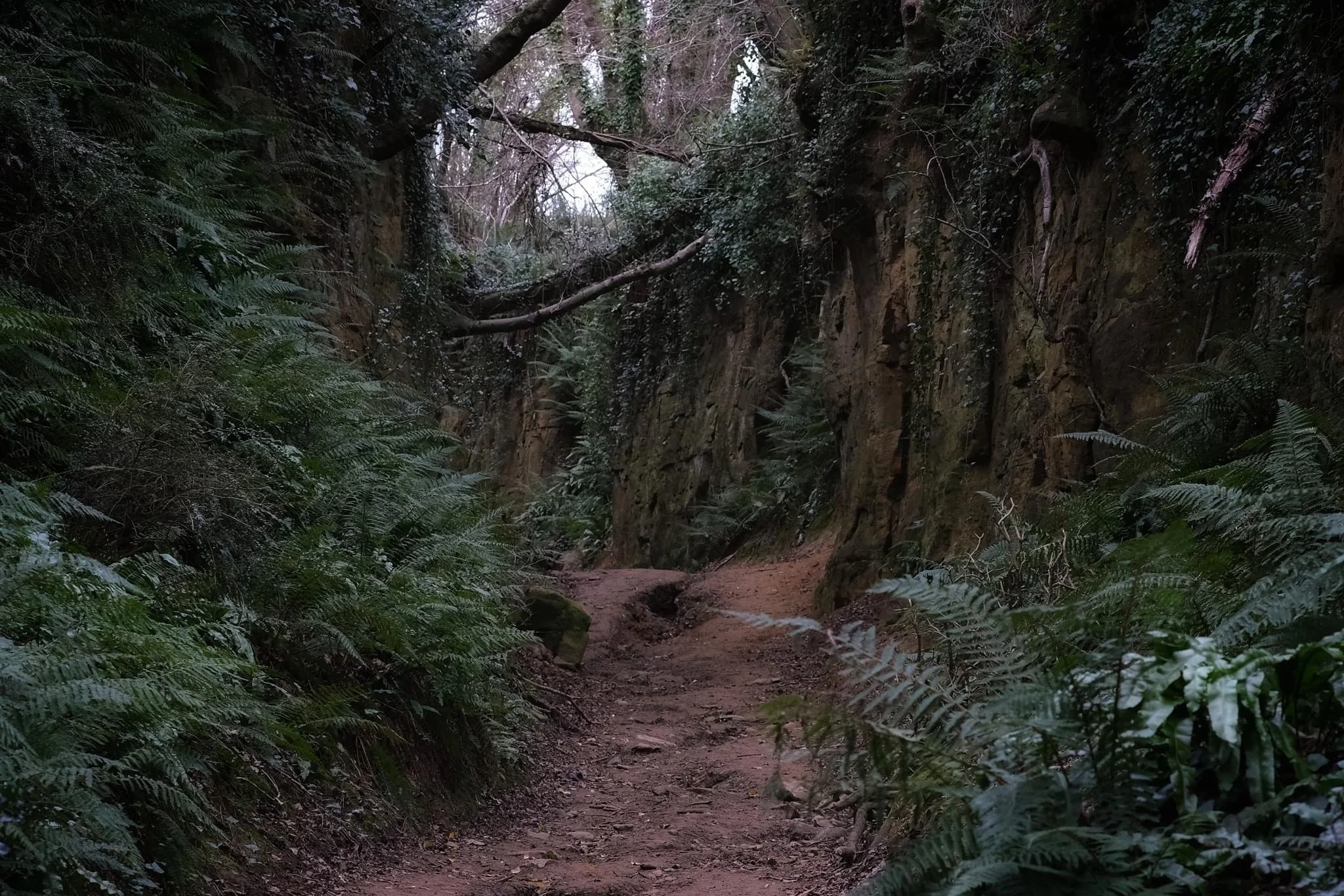 Healing with Nywfre Energy: A Sacred Alignment