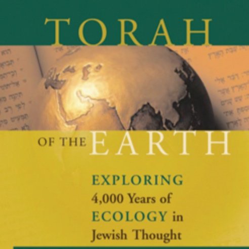 Screenshot 2025-04-14 at 11.36.42 AM.jpg