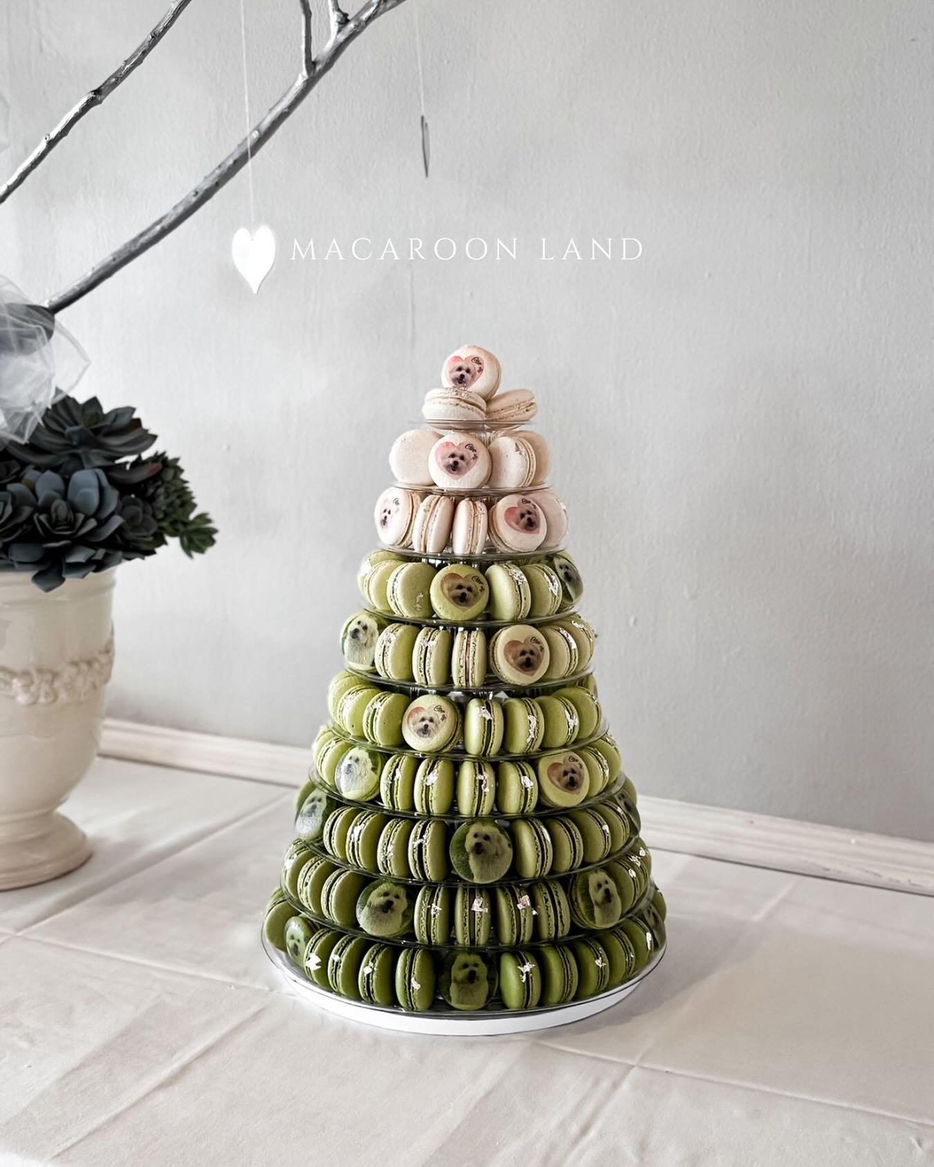 10 tiers Macaron Stant💚

.
.
.
.
.
#macarons #macaron #macaronsofinstagram #macaronstagram #macaronlover #macaroncollab2025#macaronlove #macaronart #macarontower #macaronshop #macaronbox #macaronaddict #macarongram #macaron_homemade #macarontowers #