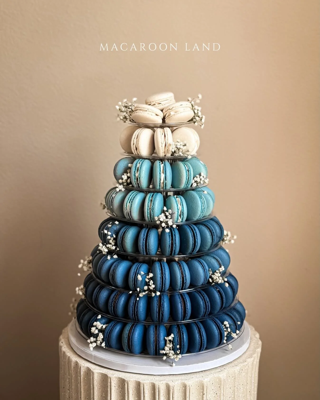 8 tiers macaron stand💙

.
.
.
.
.
#macarons #macaron #macaronsofinstagram #macaronstagram #macaronlover #macaroncollab2025#macaronlove #macaronart #macarontower #macaronshop #macaronbox #macaronaddict #macarongram #macaron_homemade #macarontowers #f