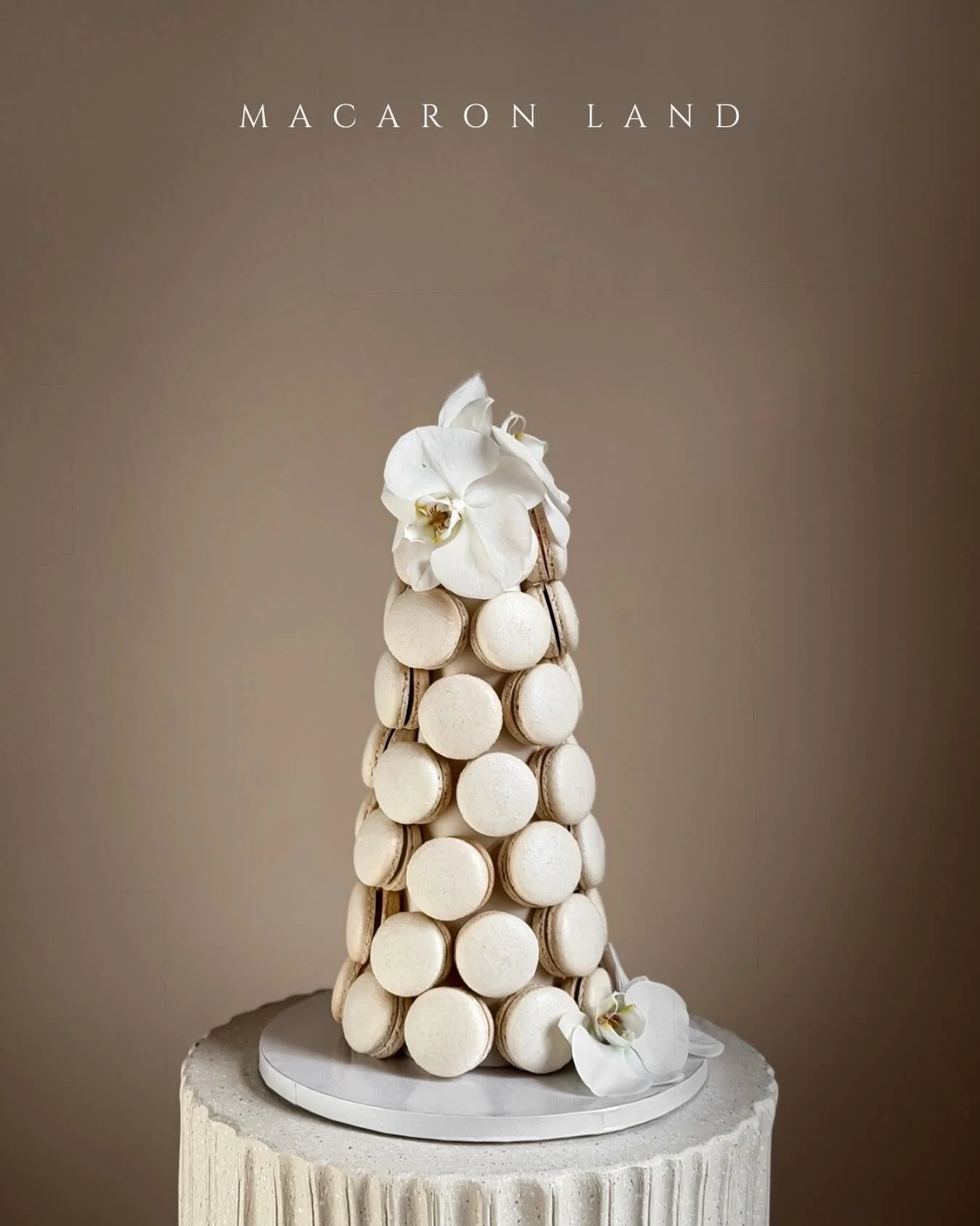 12&rdquo; macaron tower with fresh flowers 🤍
.
.
.
.
.
.
.
#macaron #macarontower #macaroonslover