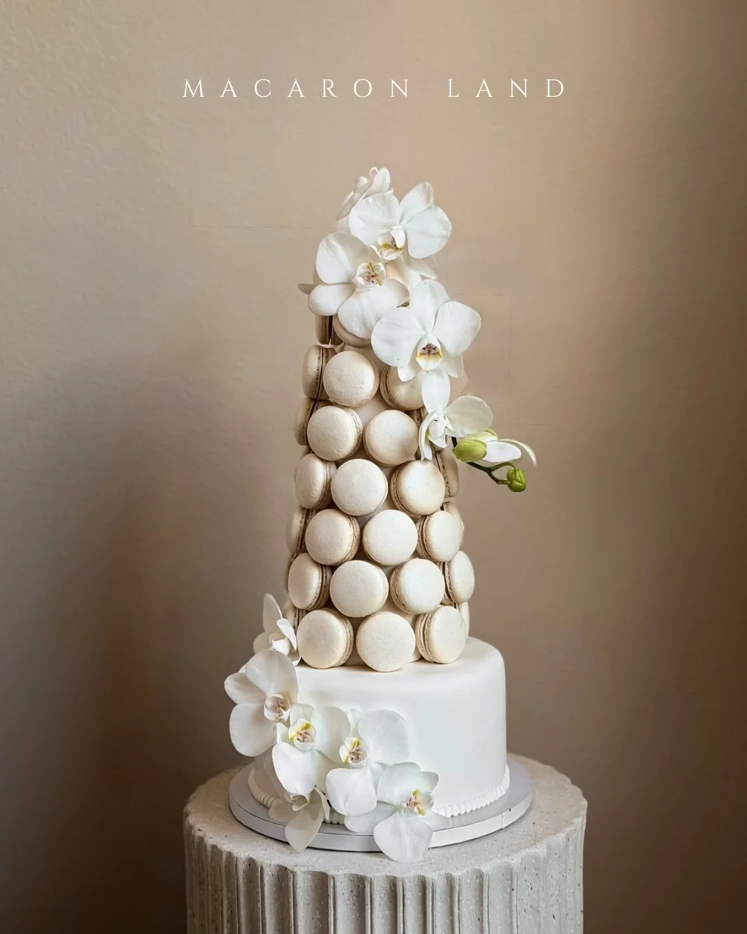 12 macaron tower with base🤍
.
.
.
.
.
.
#macaron #macarons #macarontower