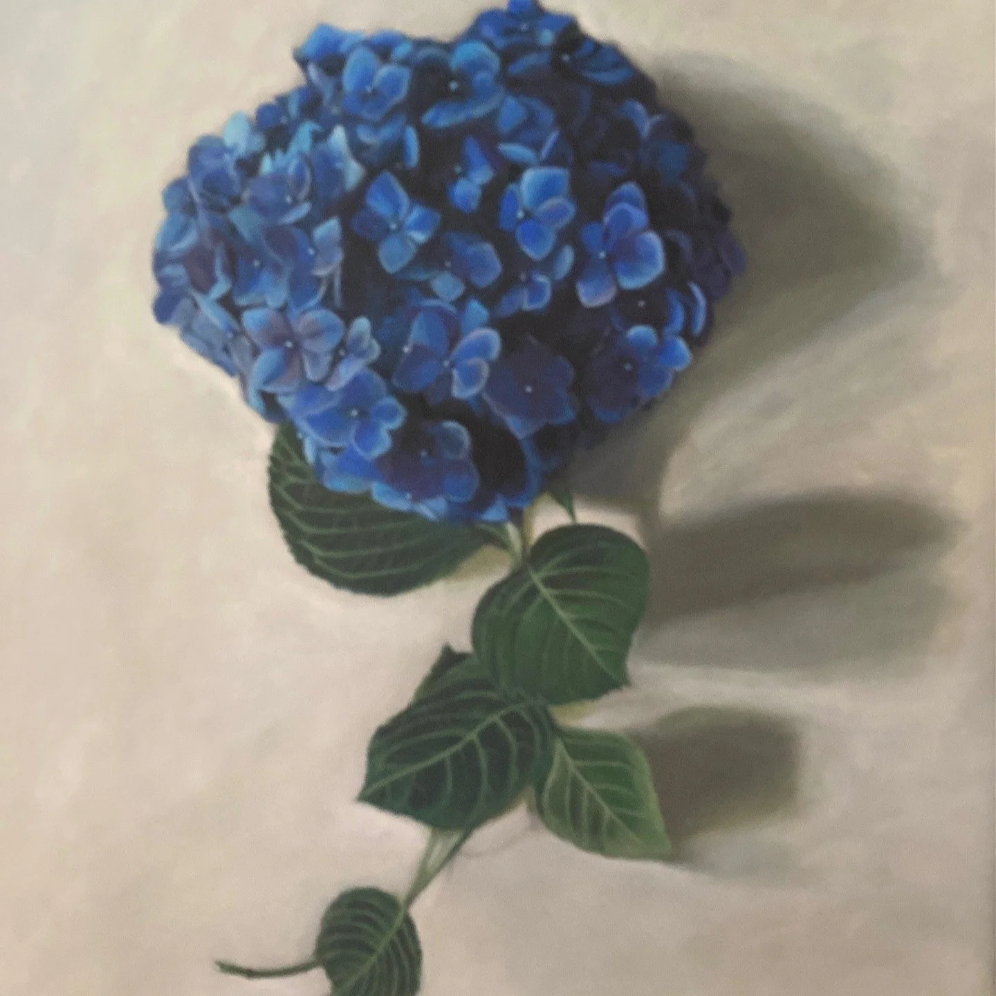 &quot;Blue Hydrangea&quot; is by Gloria Zamora. Painted in acrylic on canvas, her inspiration is her garden. #visitoccoquan #occoquanvirginia #botanicalart #gardenart #artistsgarden