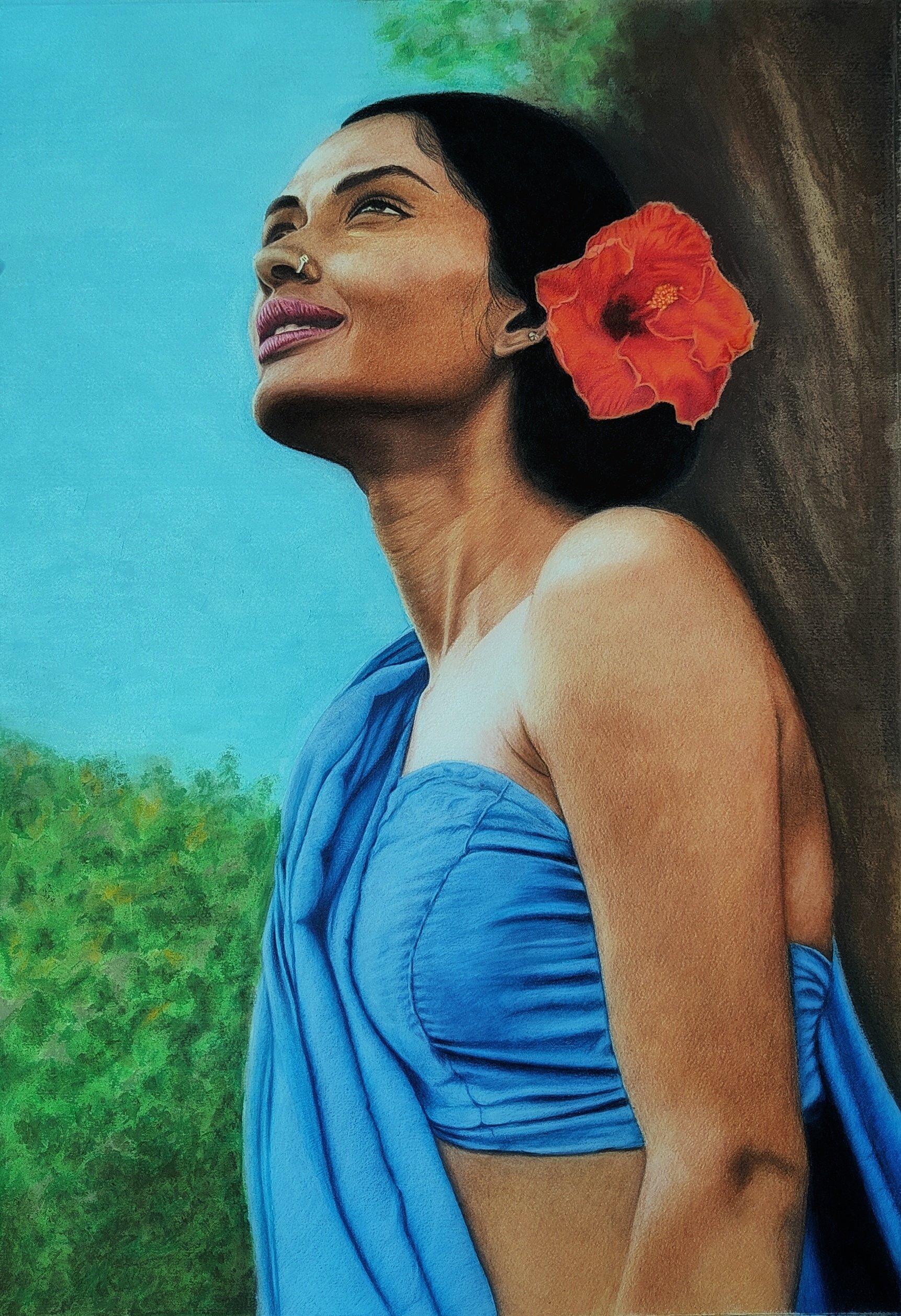 Hibiscus