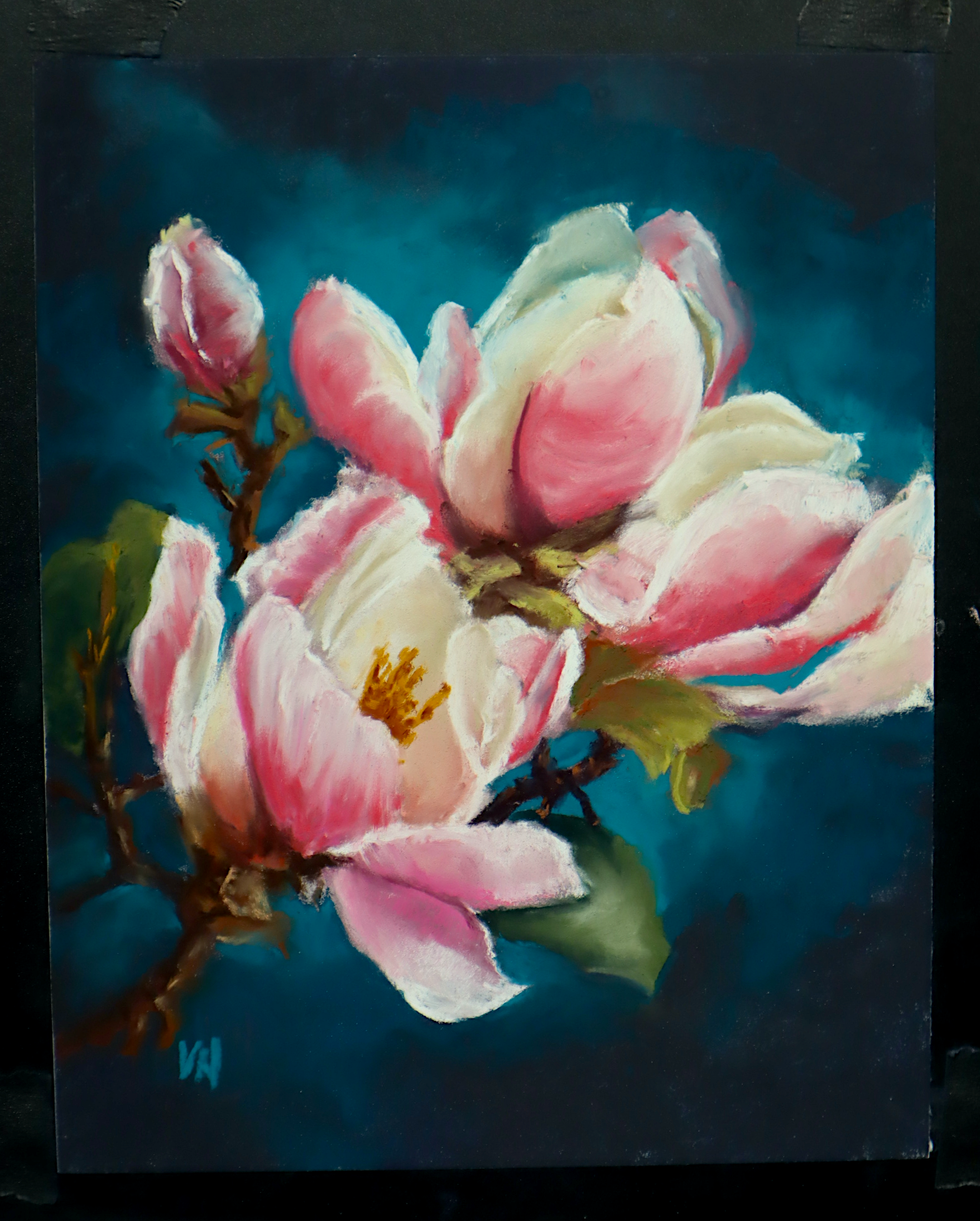 Sugar Magnolias 8x10 Pastels