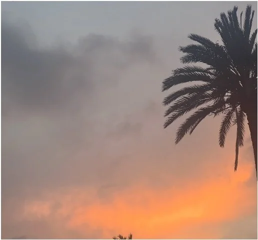 A sunset sky with dark clouds and a palm tree silhouette on the right.
