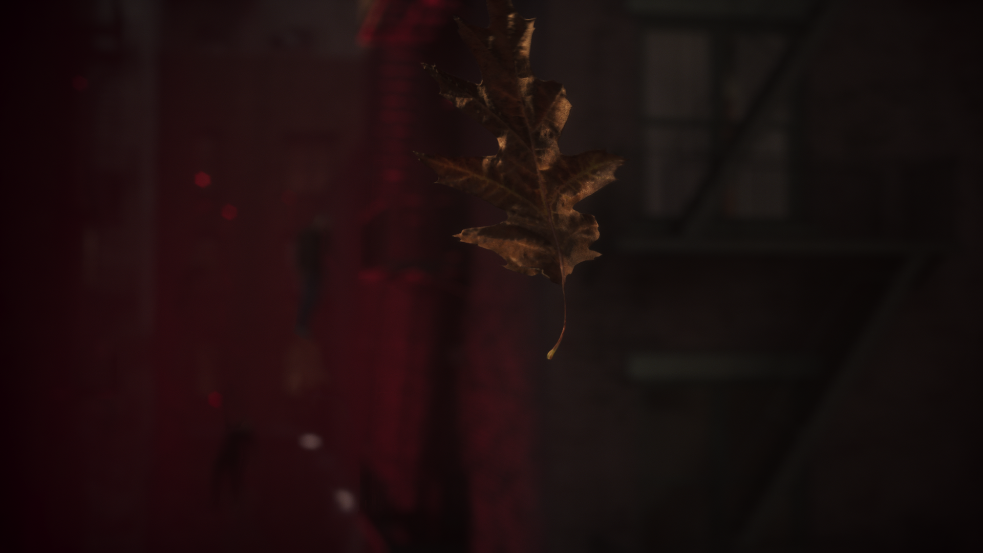 Photo 11.png