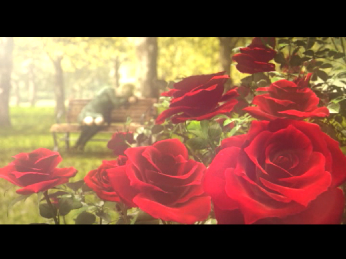 ruleofrose_opening_cutscene_01.png