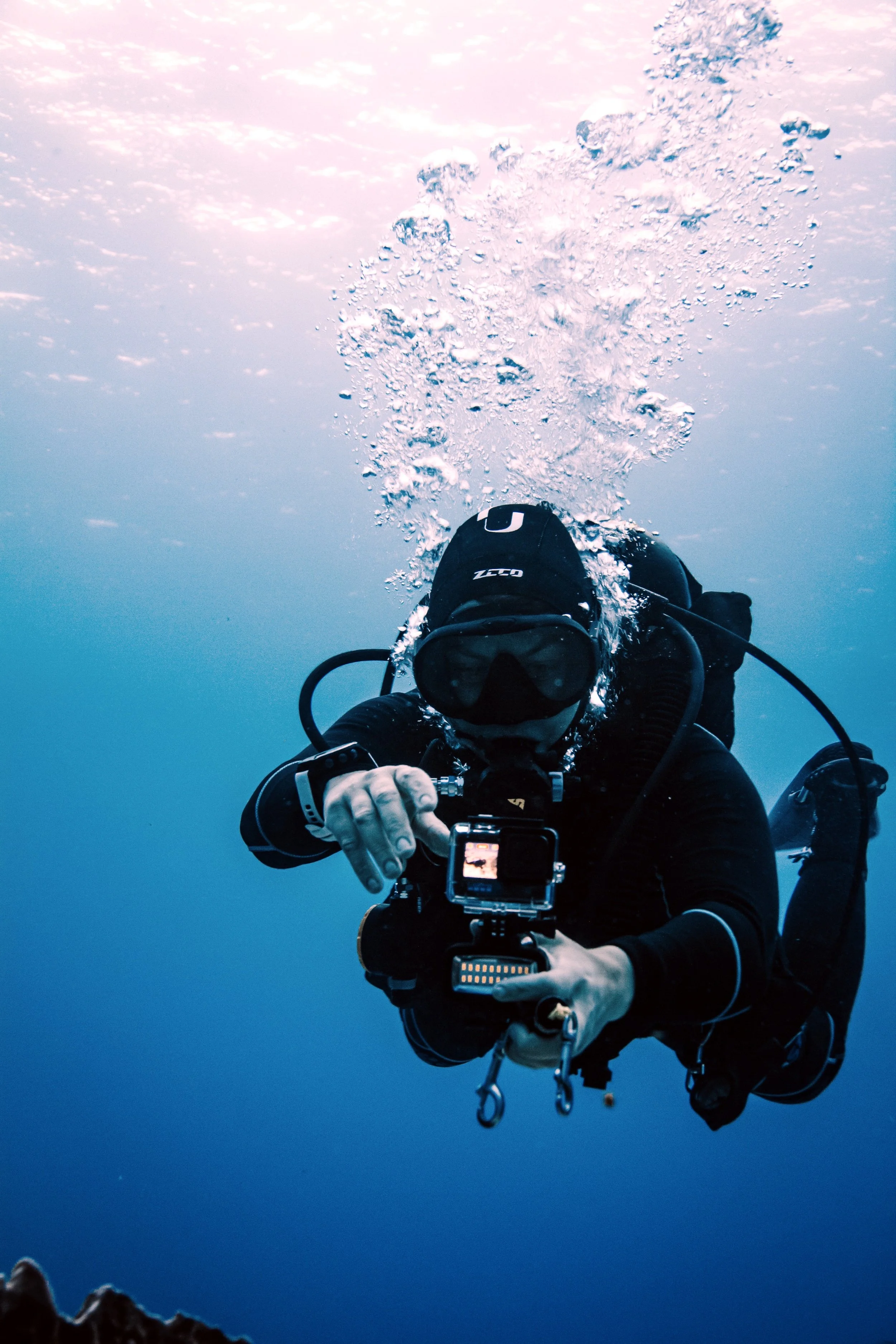 Photo credit: Olivia Bosies