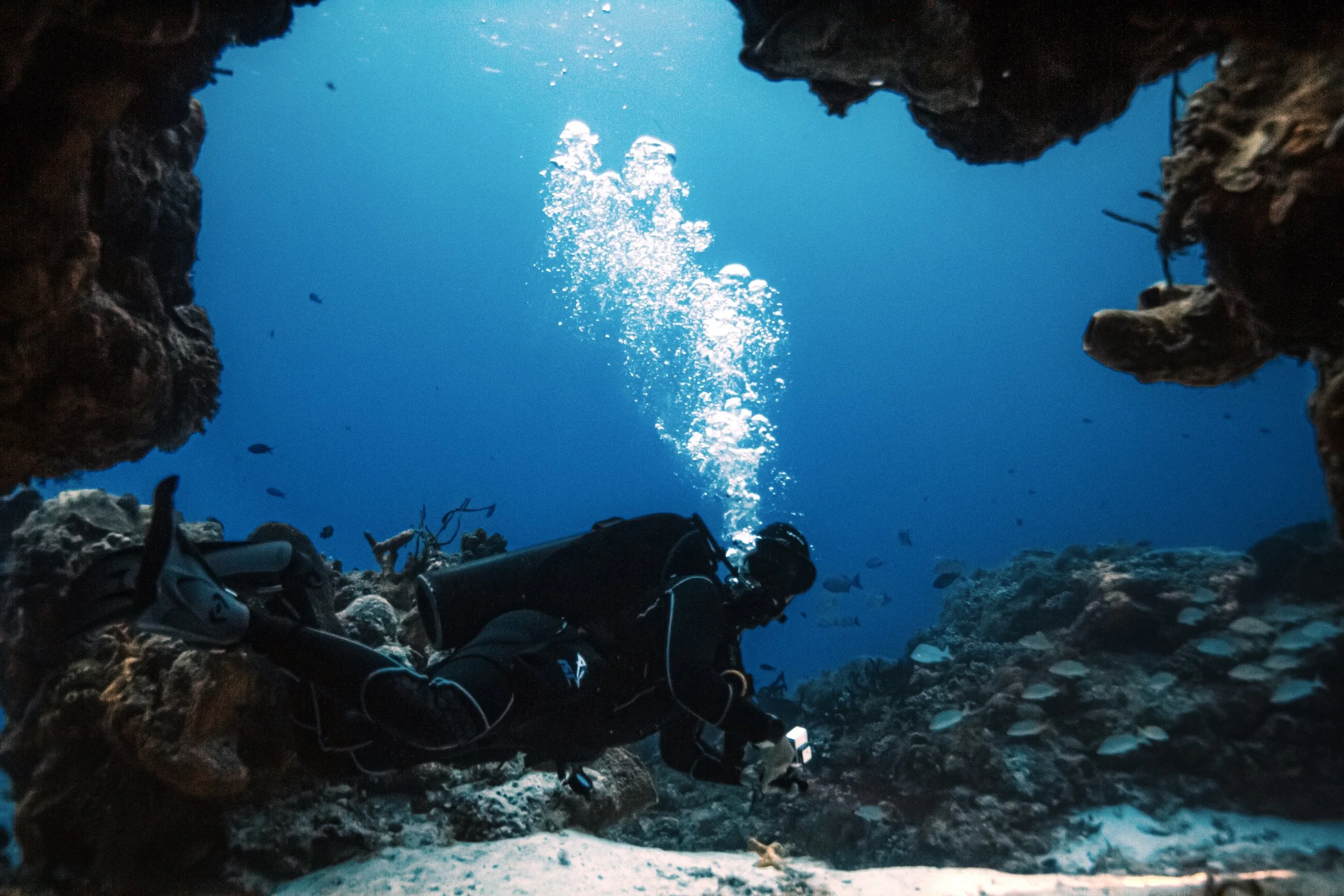 Photo credit: Olivia Bosies