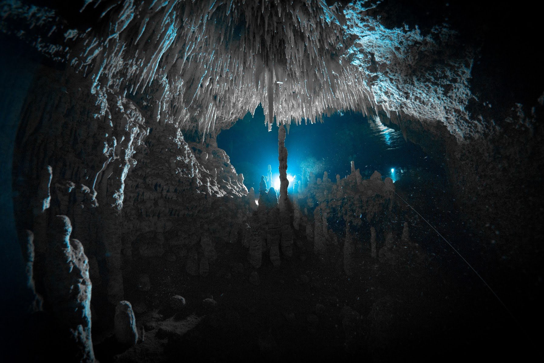 Photo credit: Spino Spinelli