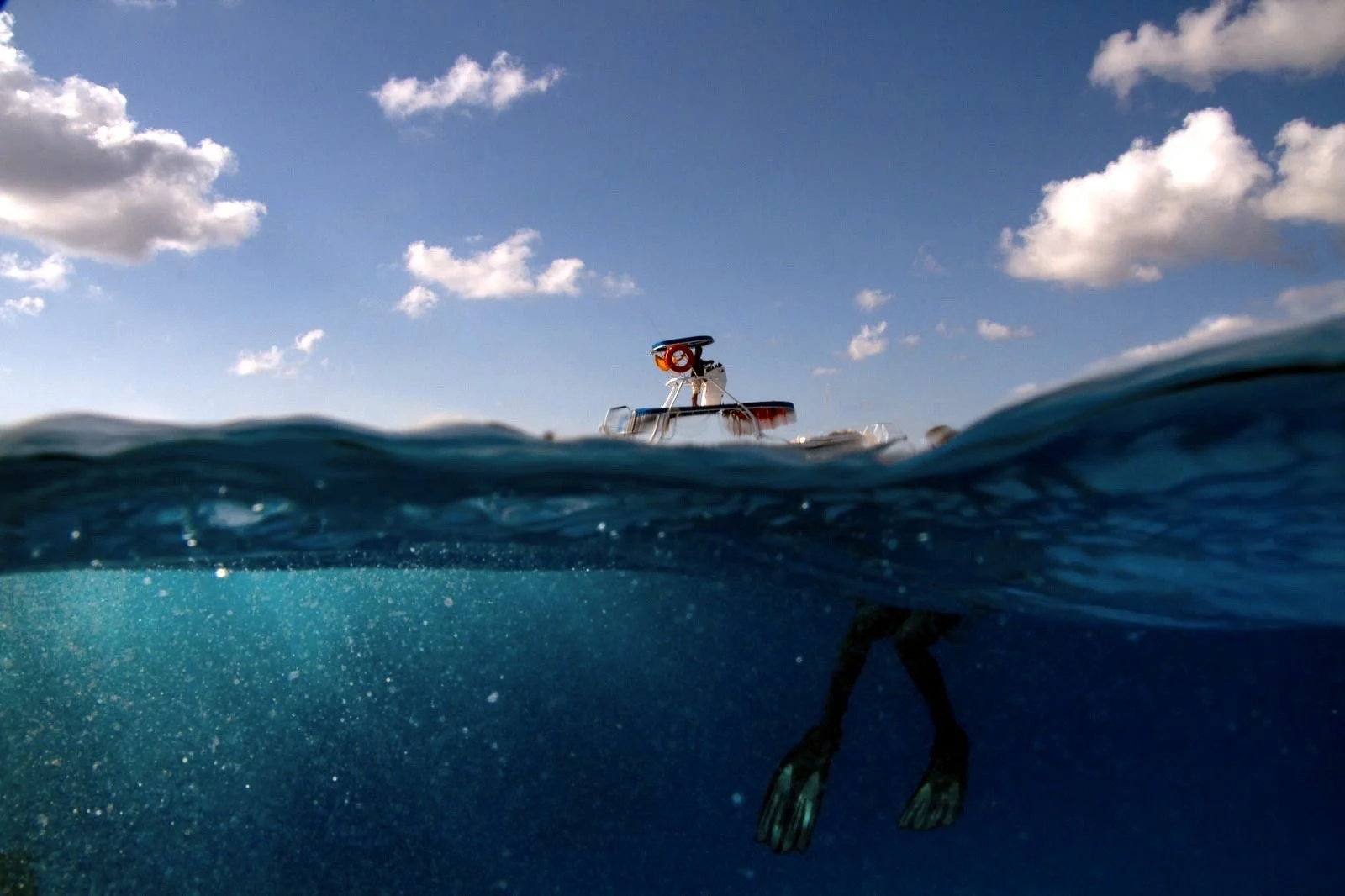 Photo credit: Olivia Bosies