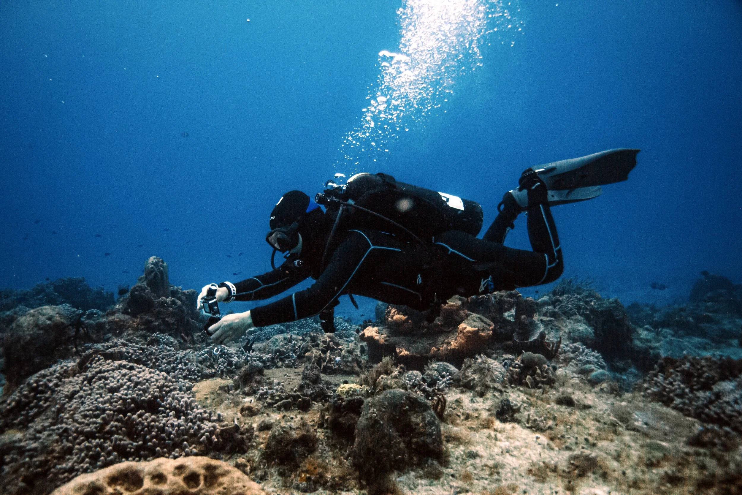 Photo credit: Olivia Bosies