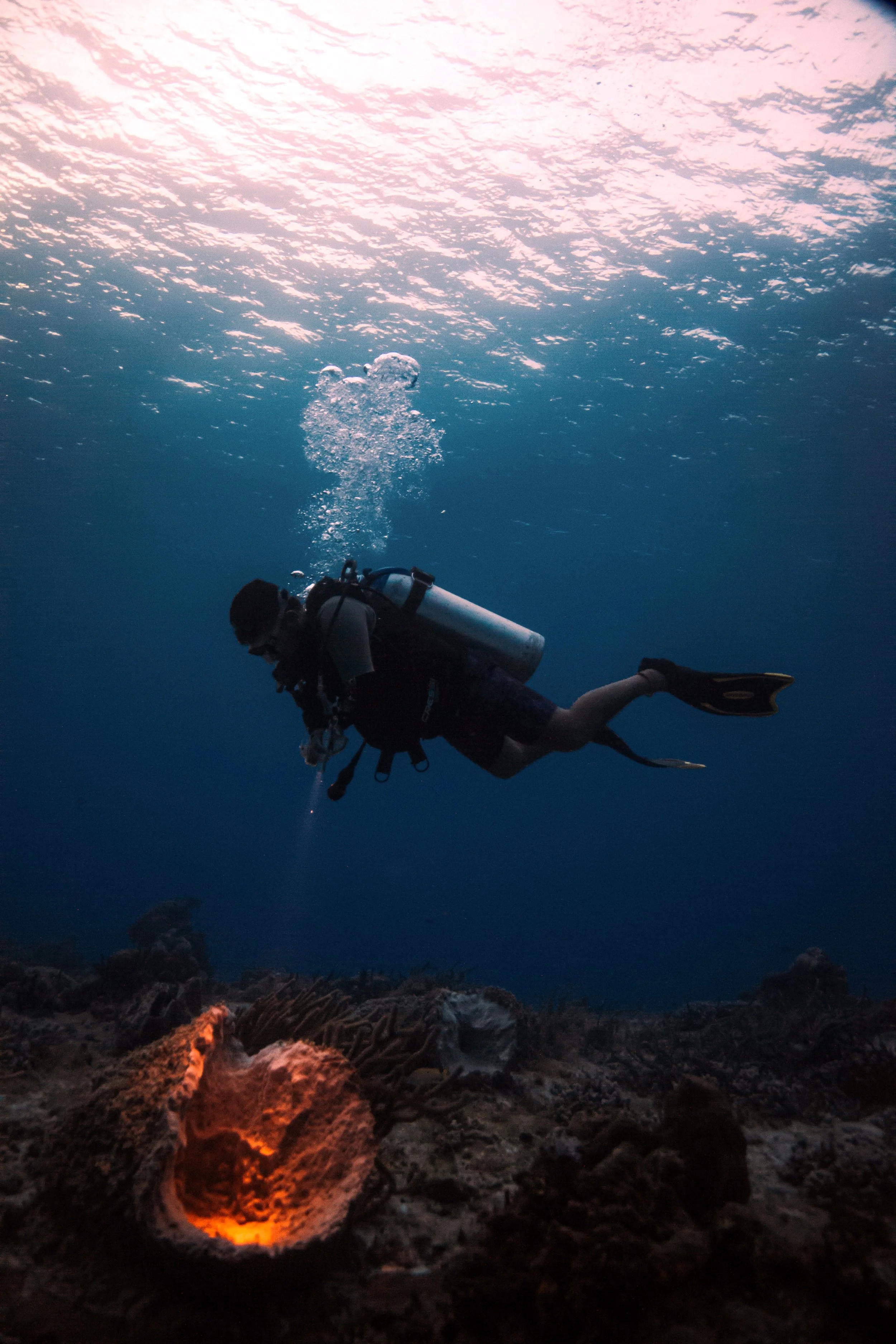 Photo credit: Olivia Bosies