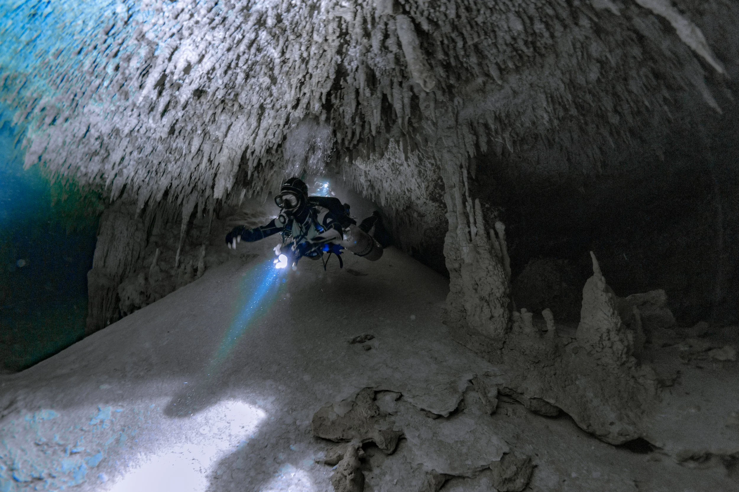 Photo credit: Spino Spinelli