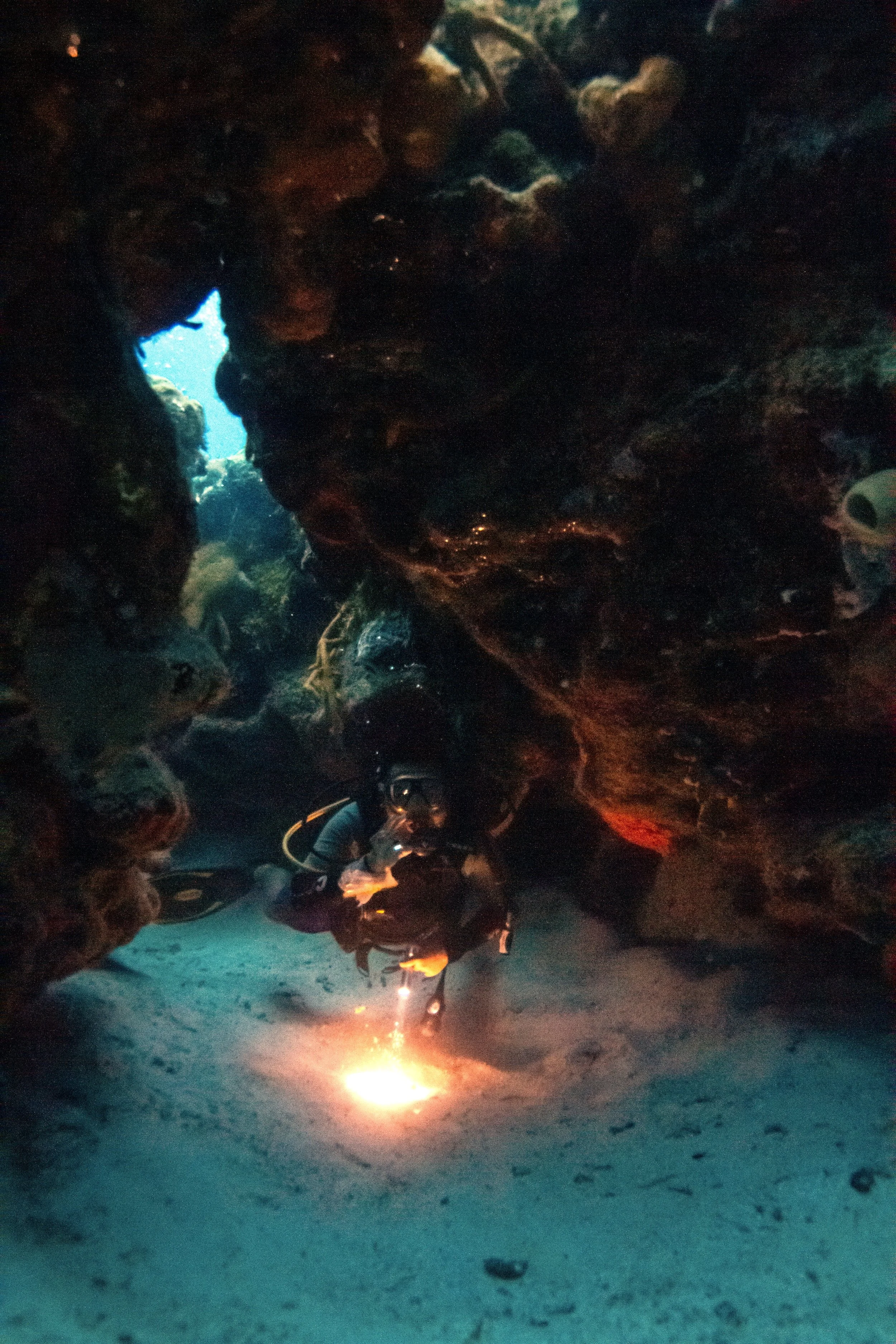 Photo credit: Olivia Bosies