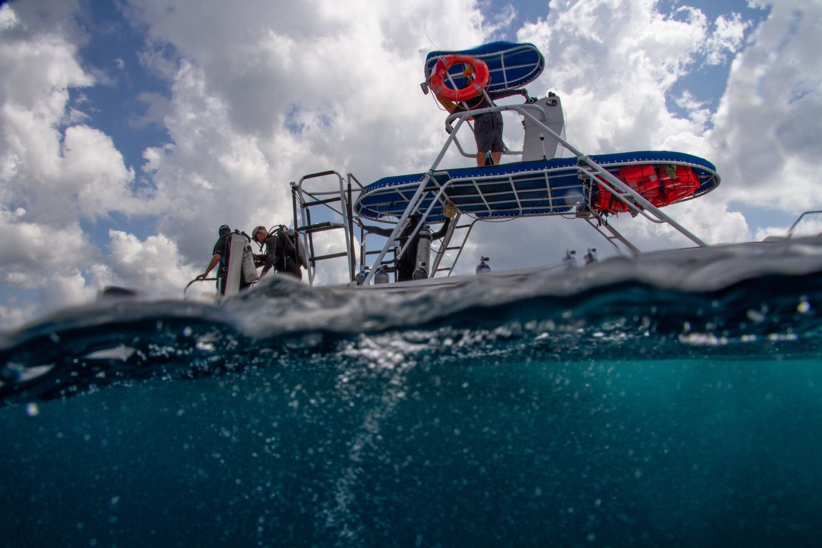 Photo credit: Olivia Bosies