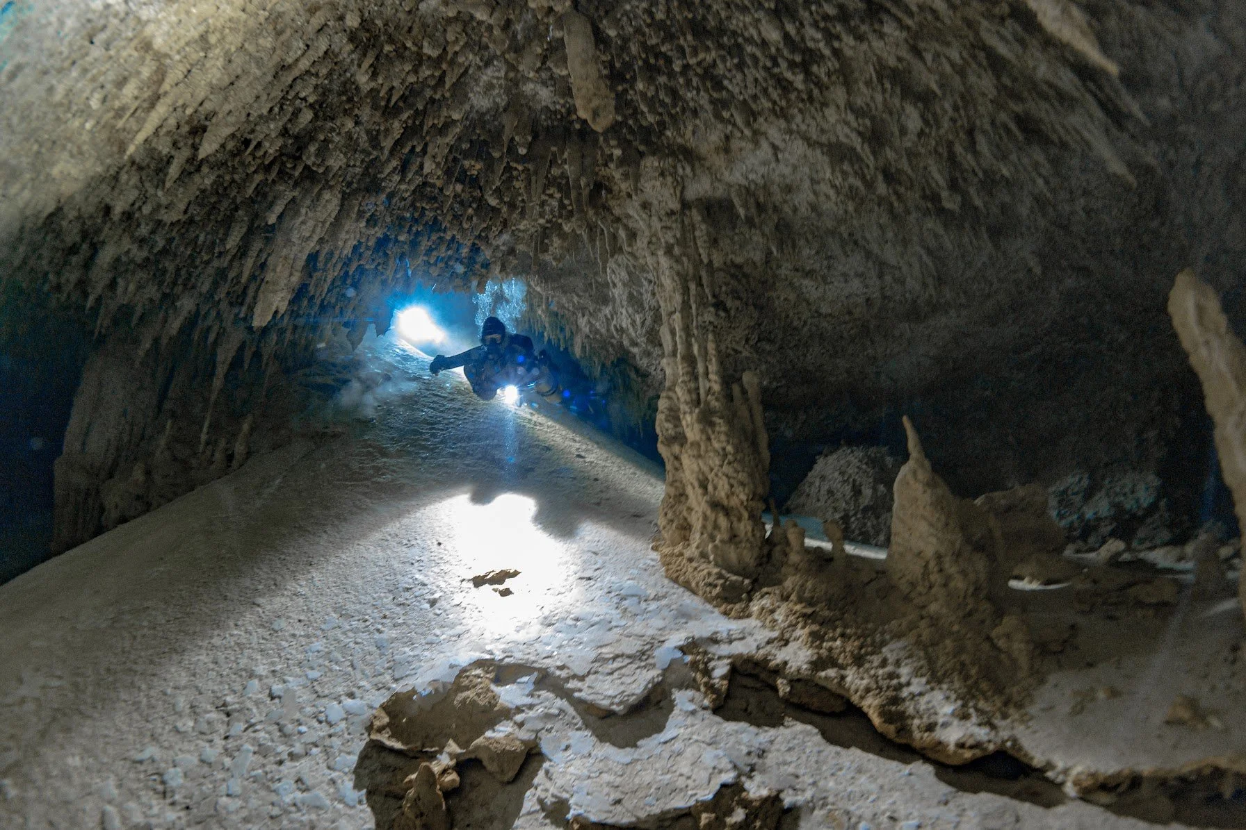 Photo credit: Spino Spinelli