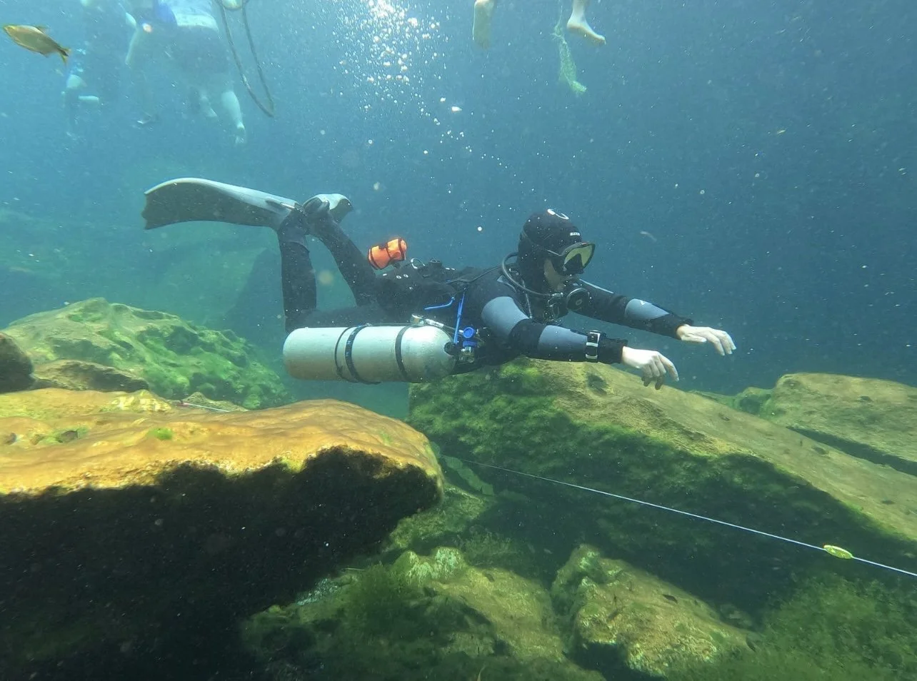 Photo credit: Olivia Bosies