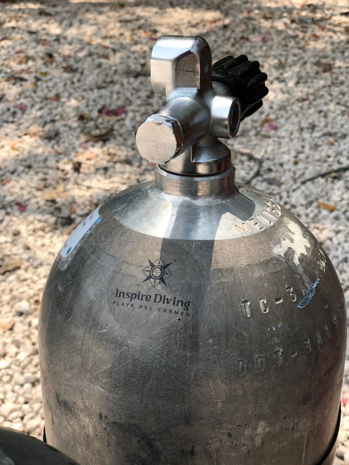 Photo credit: Olivia Bosies