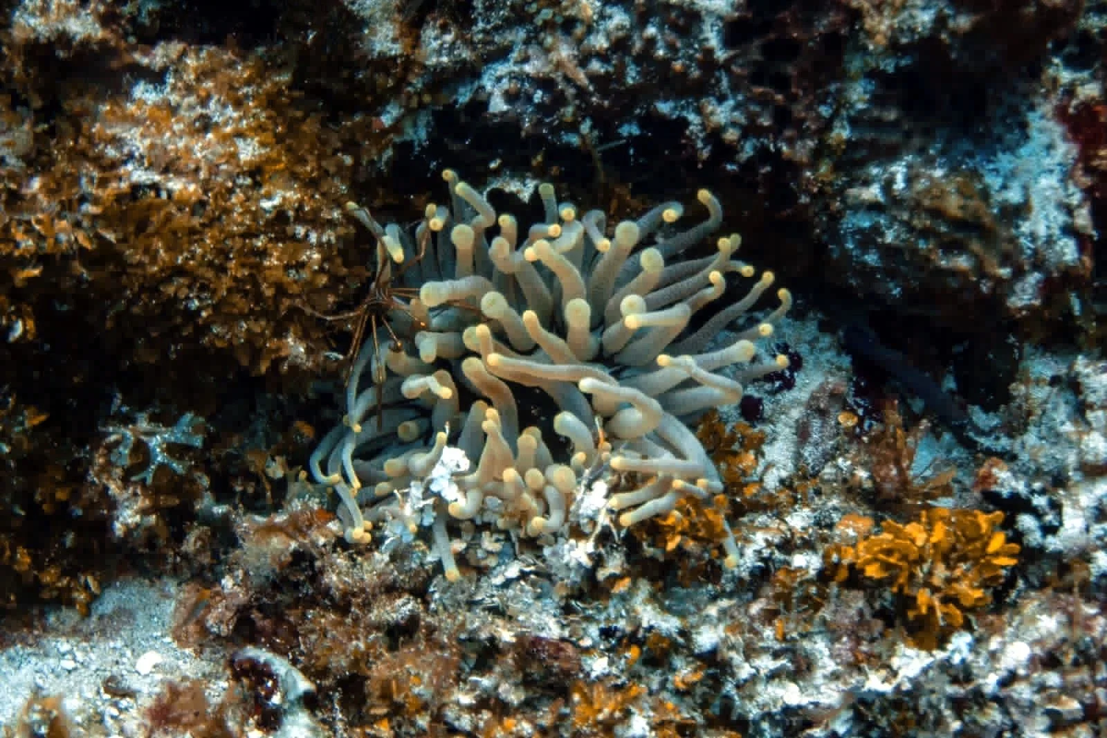 Photo credit: Olivia Bosies