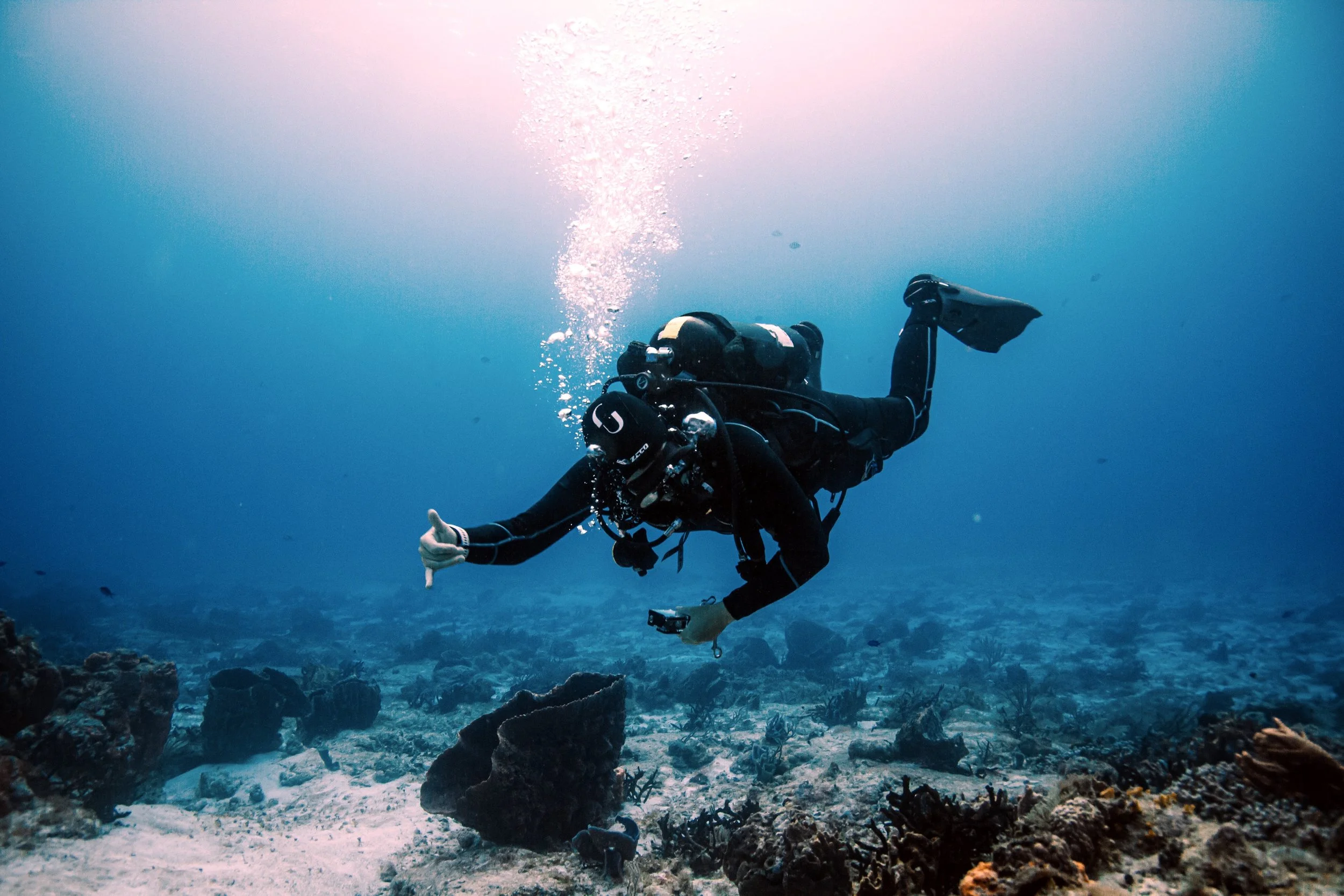 Photo credit: Olivia Bosies