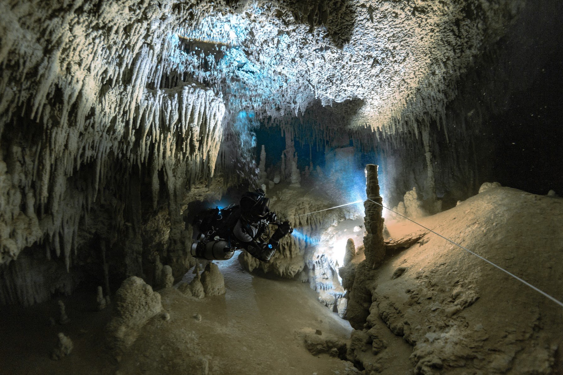 Photo credit: Spino Spinelli